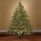 The World's Best Prelit Fraser Fir