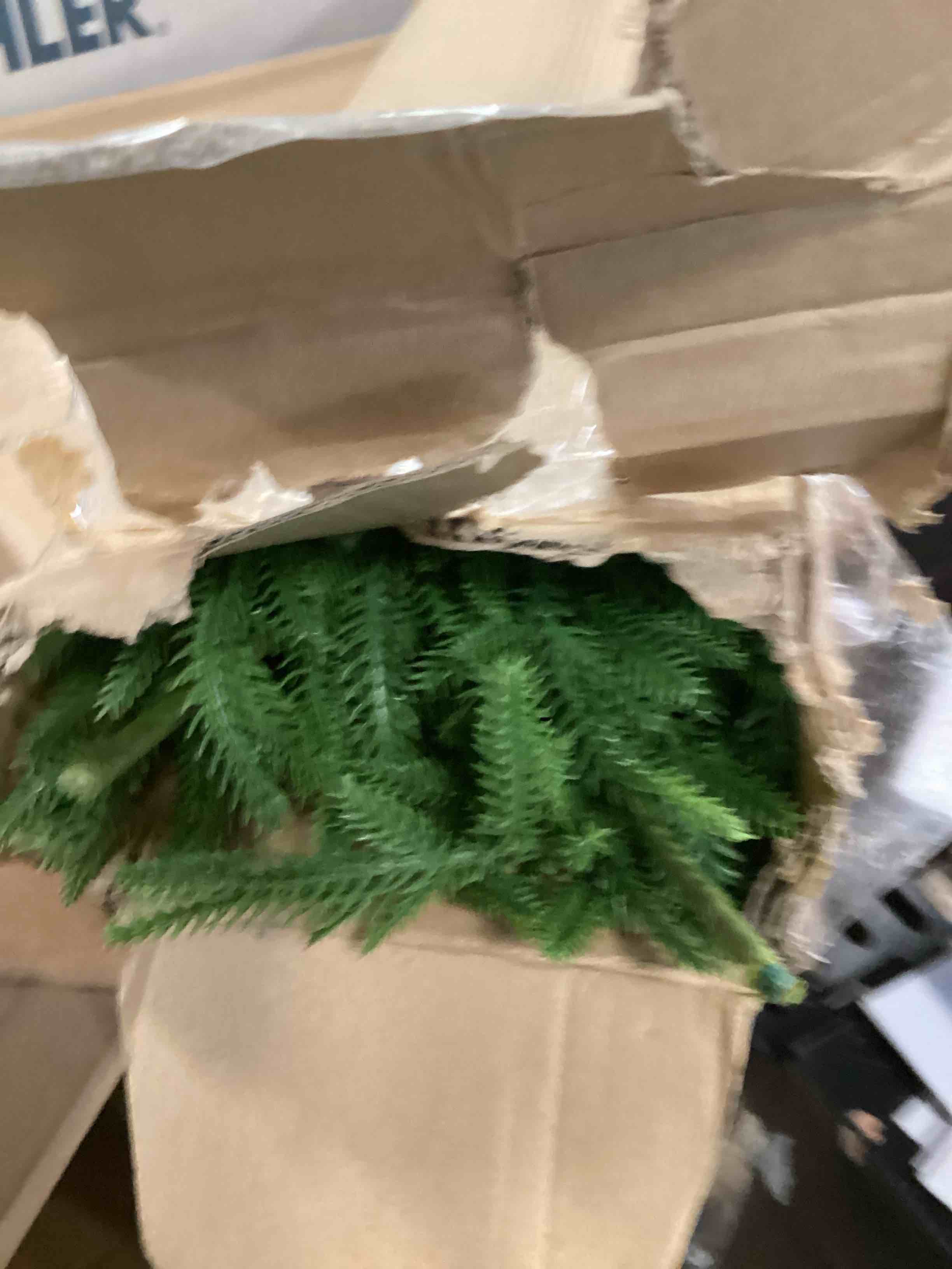 https://s3.amazonaws.com/lotting-images-prod/bidfta/GRA1979281_1737556962637.jpeg