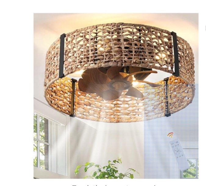 ganeed 20" boho fandelier ceiling fan with light, rattan caged ceiling fan with light and remote control, quiet reversible motor enclosed low profile 6 speeds for bedroom living room porch kids room