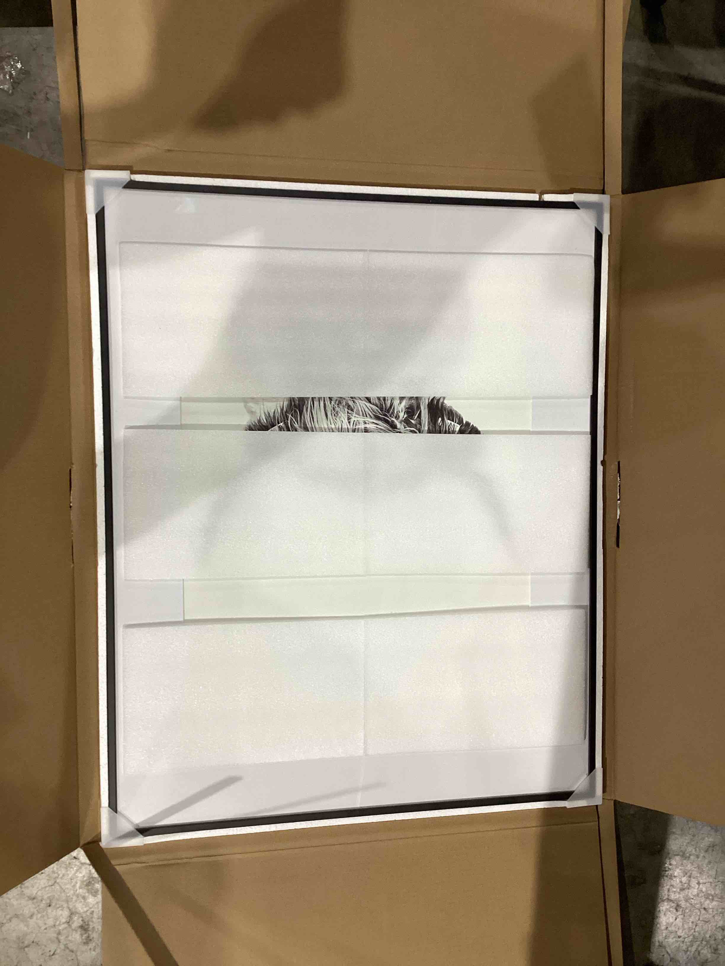 https://s3.amazonaws.com/lotting-images-prod/bidfta/GRA1993723_1751900355381.jpeg