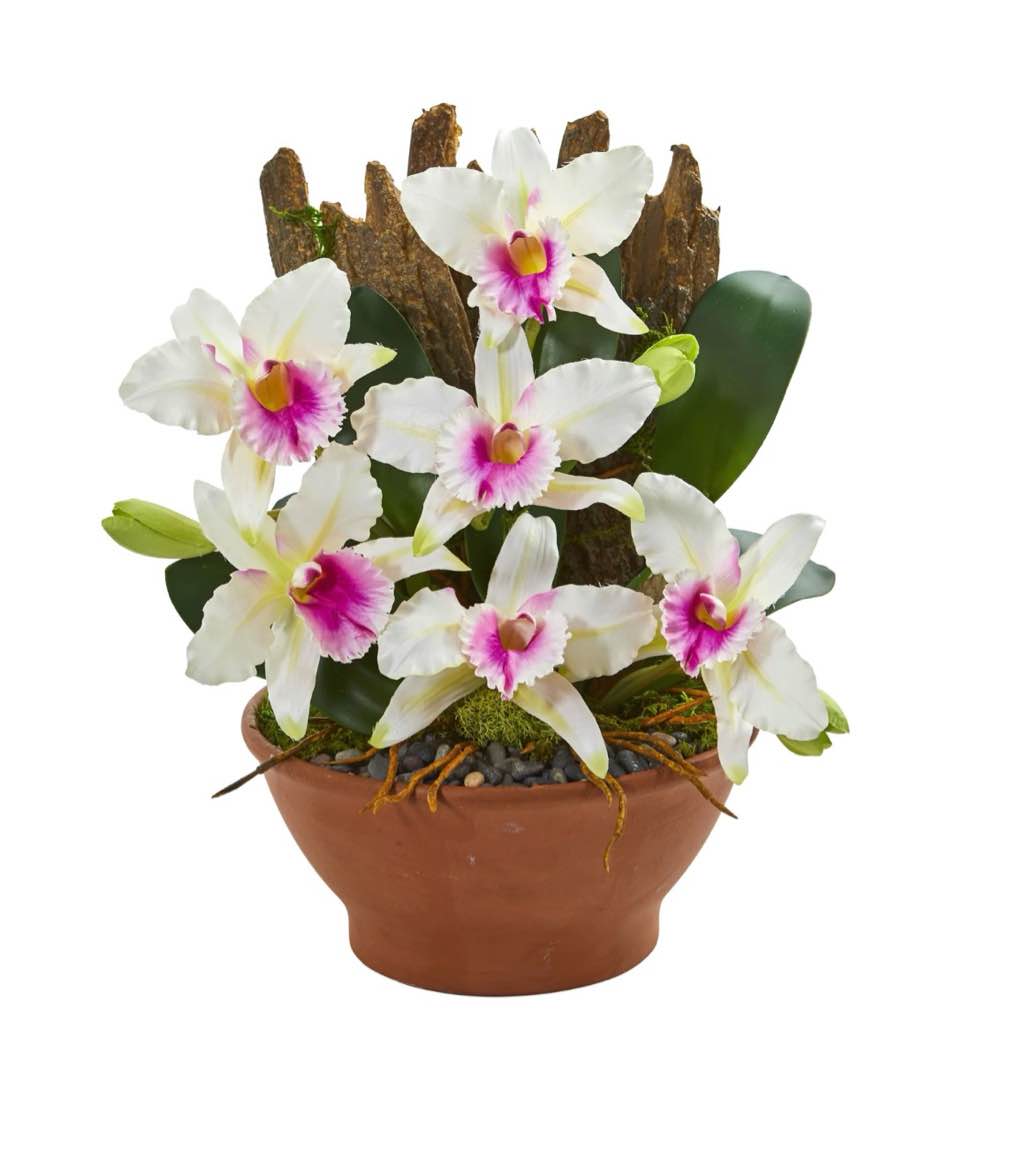 15” catteye orchid arrangmet in clay vase