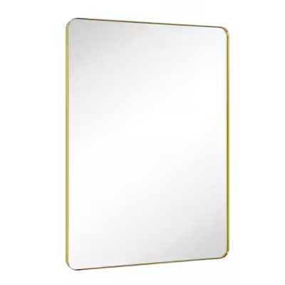 TEHOME Kengston 30-in x 40-in Polished Rectangle Bathroom Vanity Mirror ( Brushed 