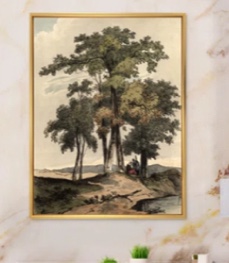 Vintage Images of Old Trees I - Painting on Canvas Size: 20" H x 12" W, Format: Gold Floater Framed