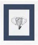 blue studio picture frame 