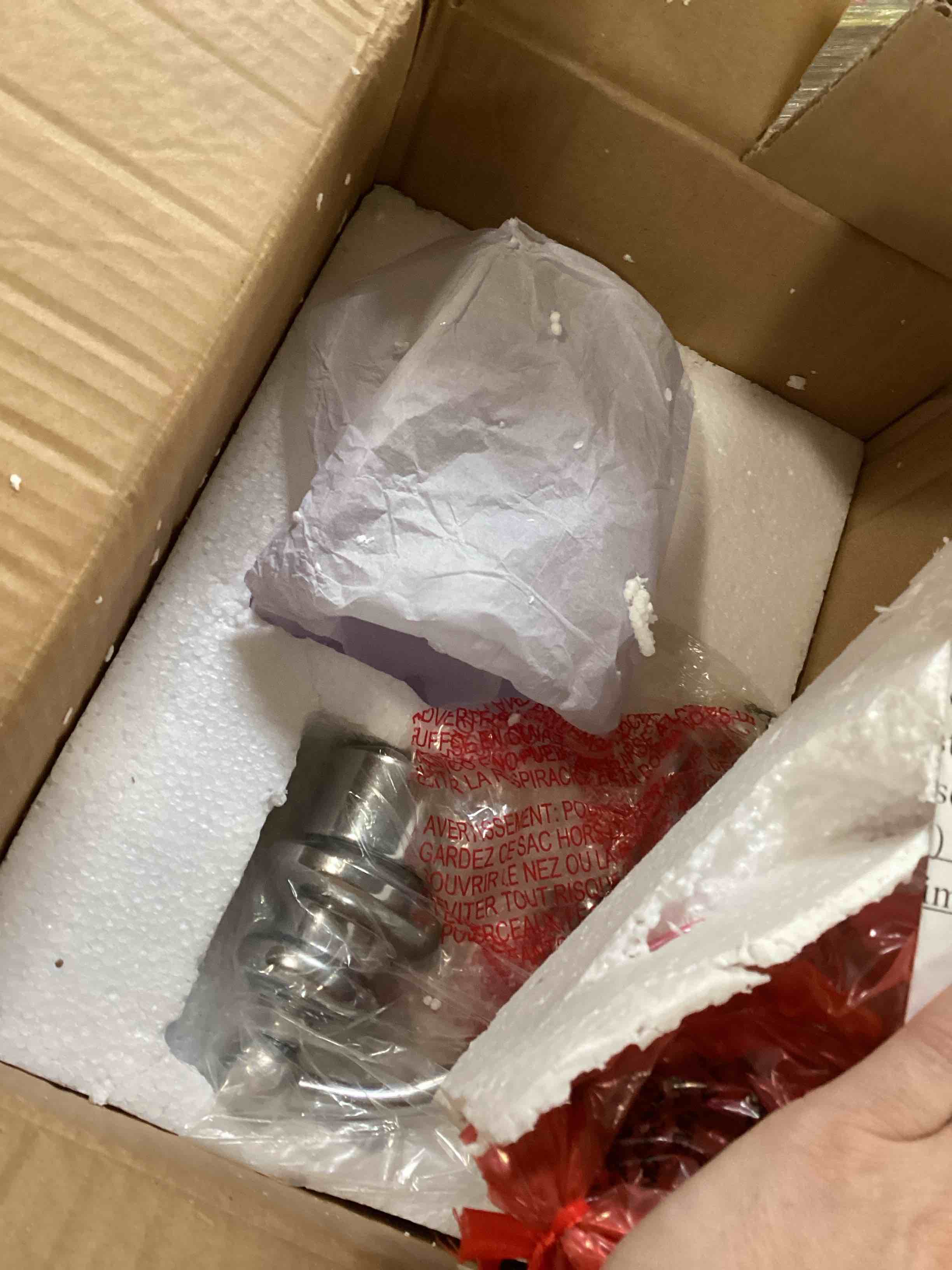 Acclaim Lighting IN40020CH Transitional, Silver *similar to stock photo*