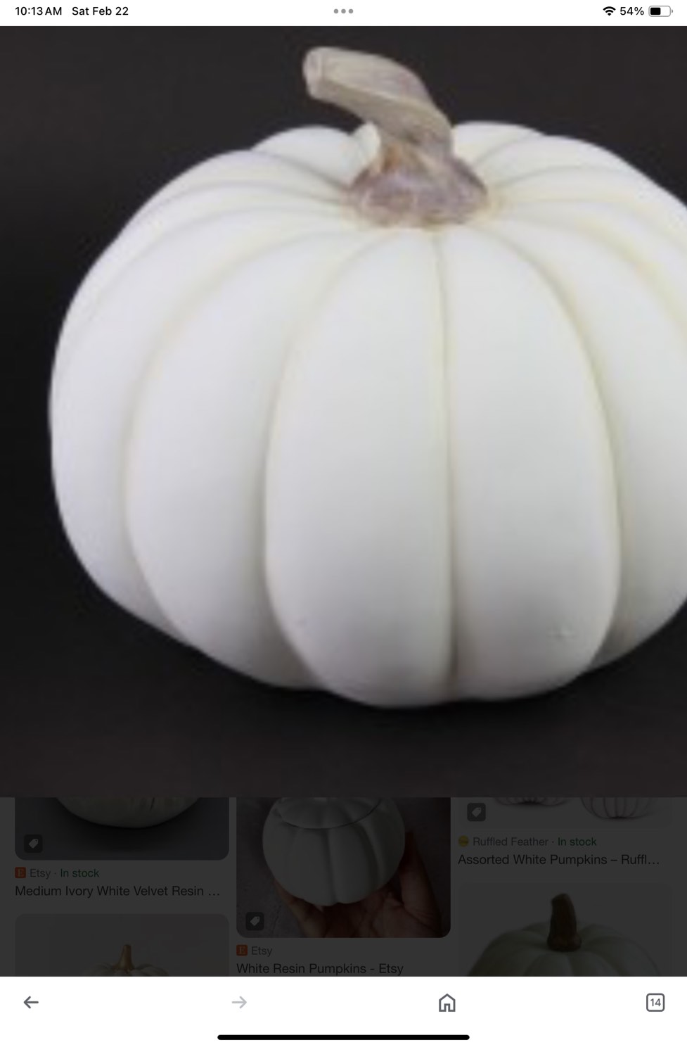Holiday Living  Pumpkin Craft Pumpkin