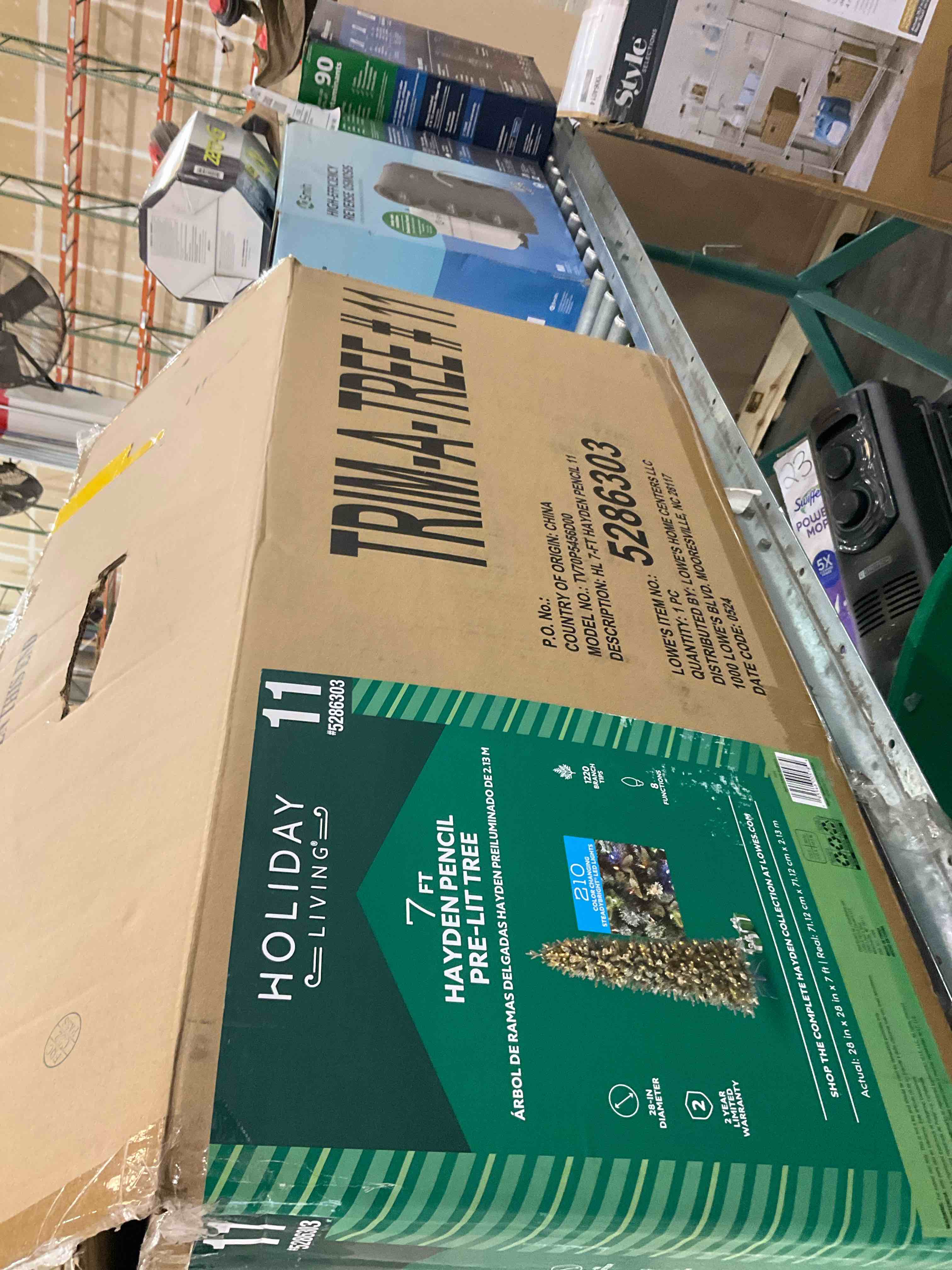 7ft Hayden pencil tree