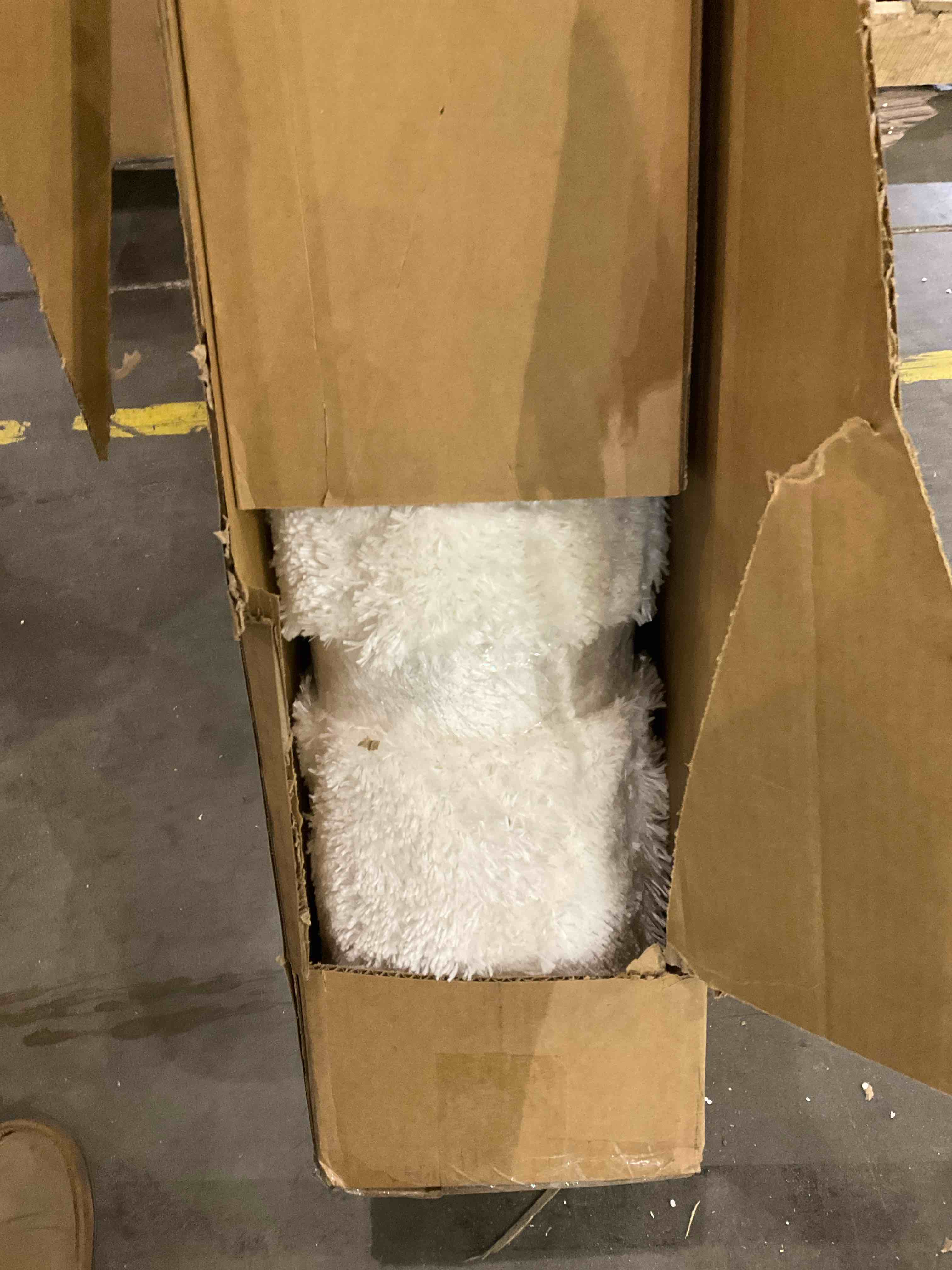 Carollyn Nomadic Machine Woven Polyester Area Rug in White