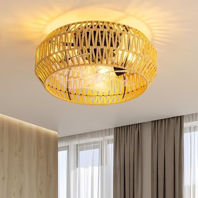 ceiling fan with lights