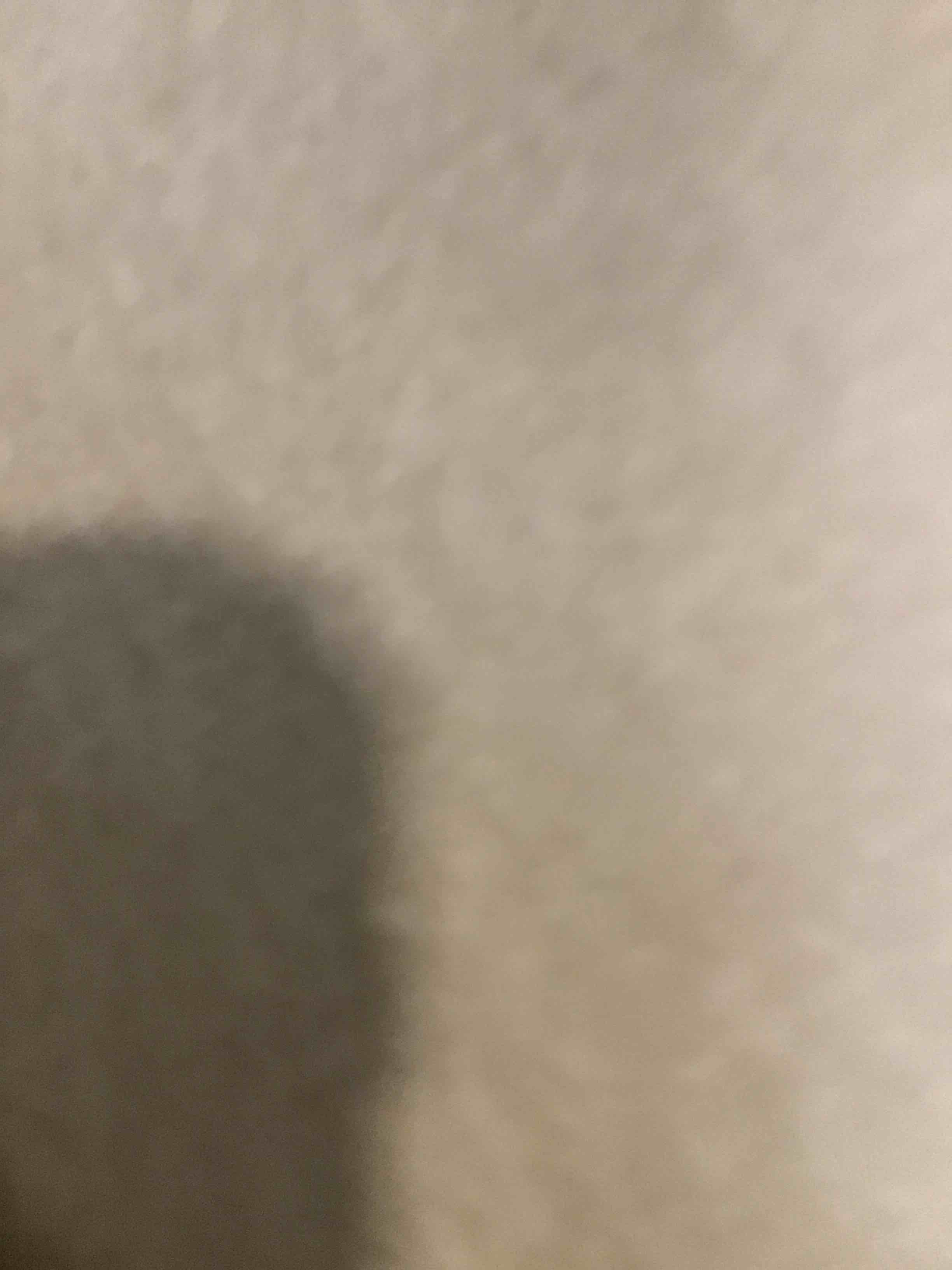 https://s3.amazonaws.com/lotting-images-prod/bidfta/GRA2133106_1741290476246.jpeg