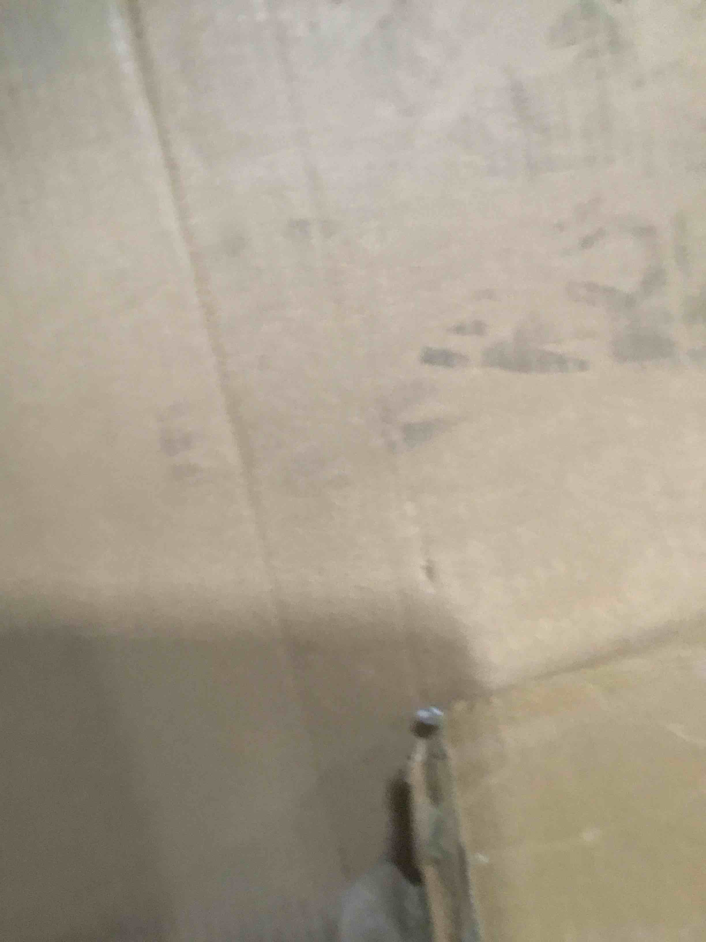 https://s3.amazonaws.com/lotting-images-prod/bidfta/GRA2133669_1742317804607.jpeg