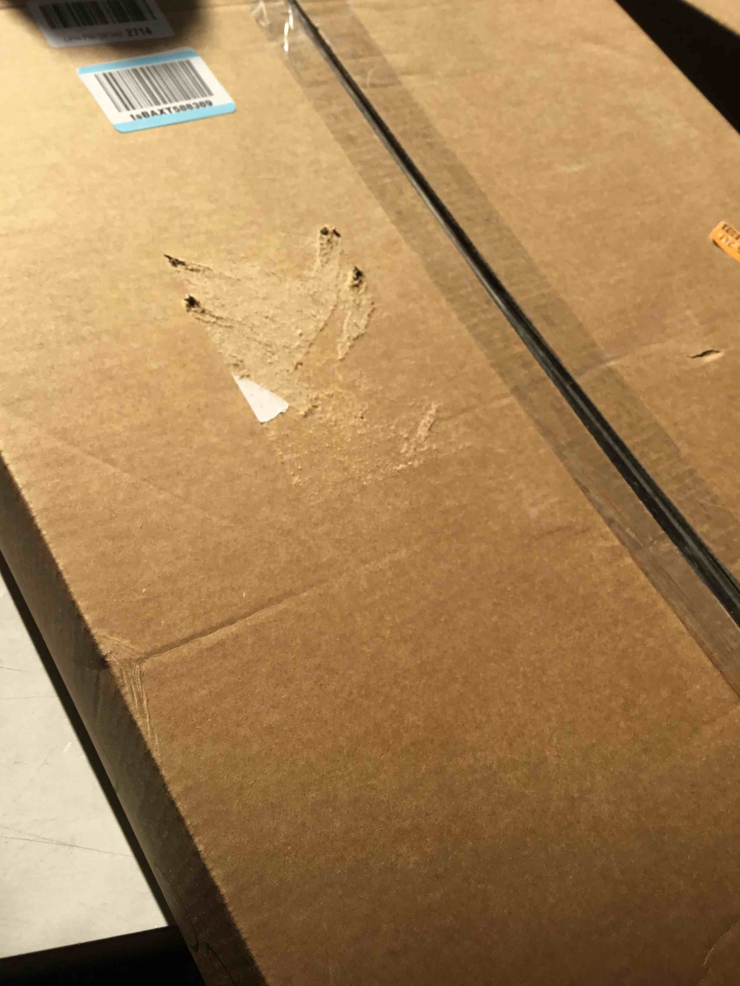 https://s3.amazonaws.com/lotting-images-prod/bidfta/GRA2176324_1740753847892.jpeg