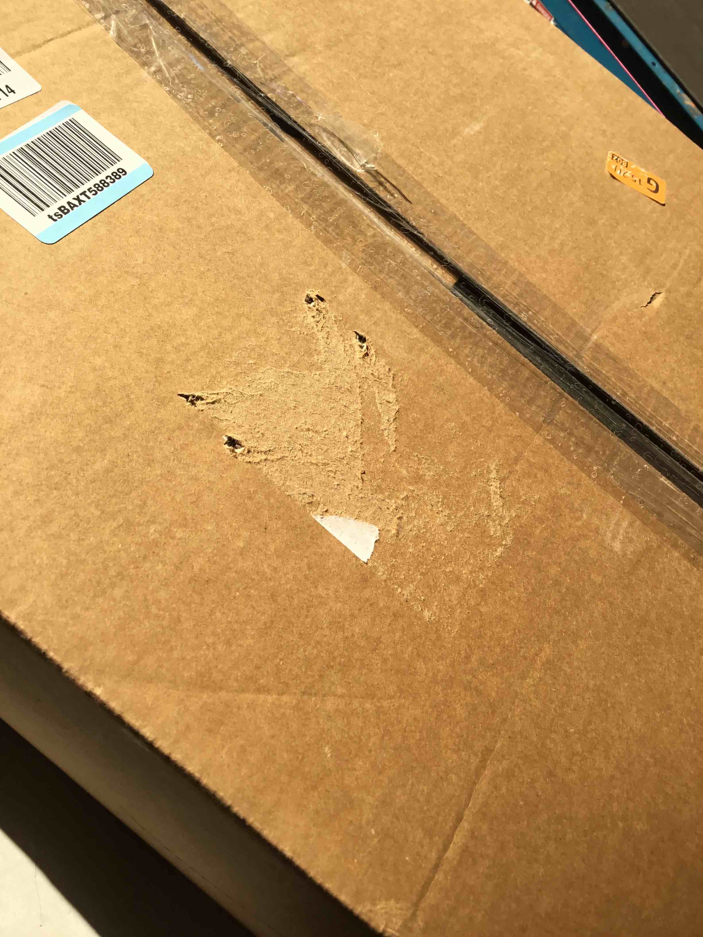 https://s3.amazonaws.com/lotting-images-prod/bidfta/GRA2176324_1740753887490.jpeg