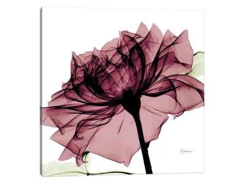 'Chianti Rose Il' by Albert Koetsier - Pho