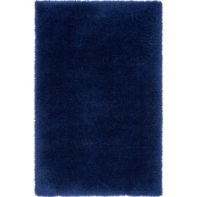blue shag rug