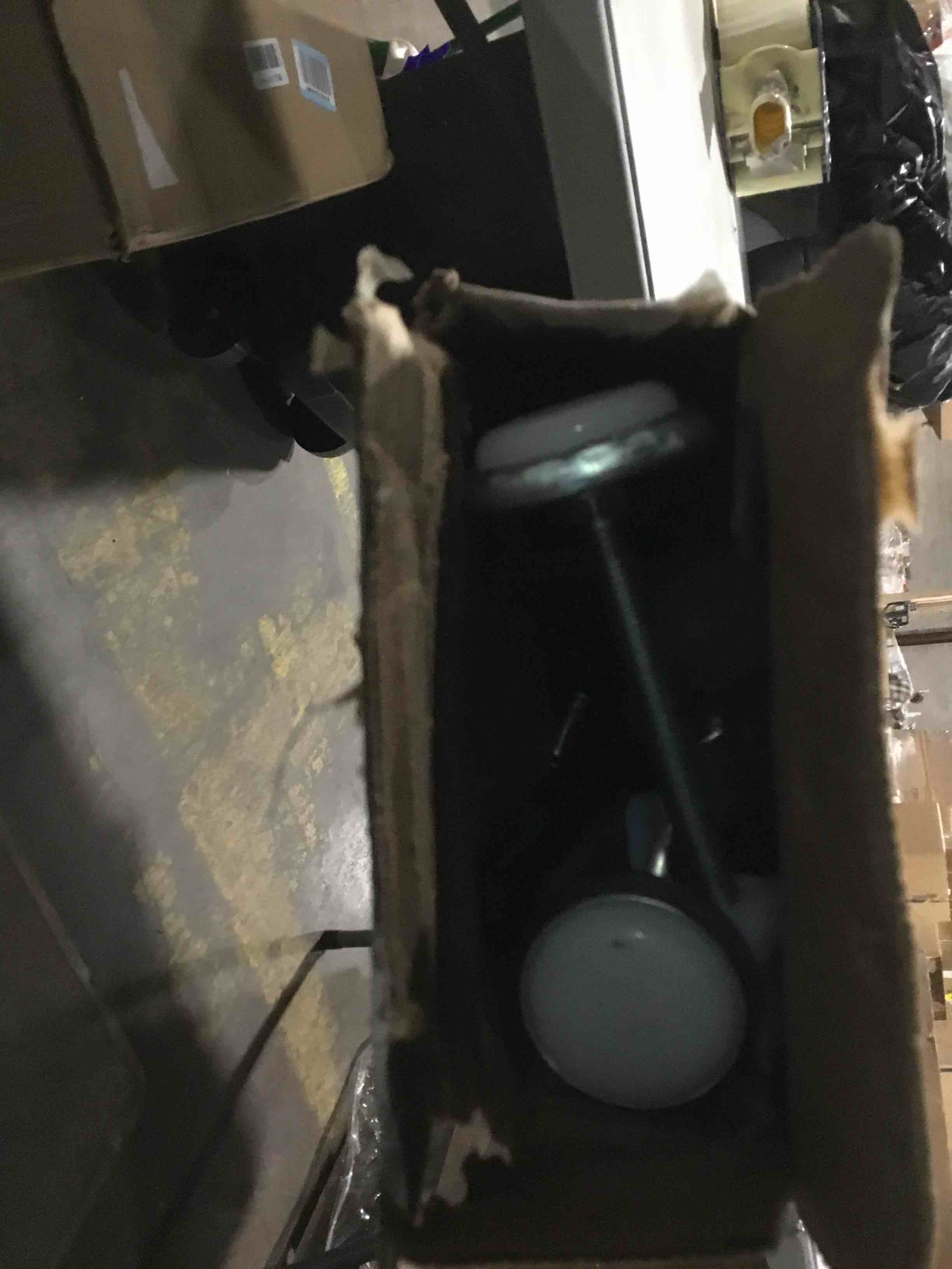 https://s3.amazonaws.com/lotting-images-prod/bidfta/GRA2264781_1740658515334.jpeg