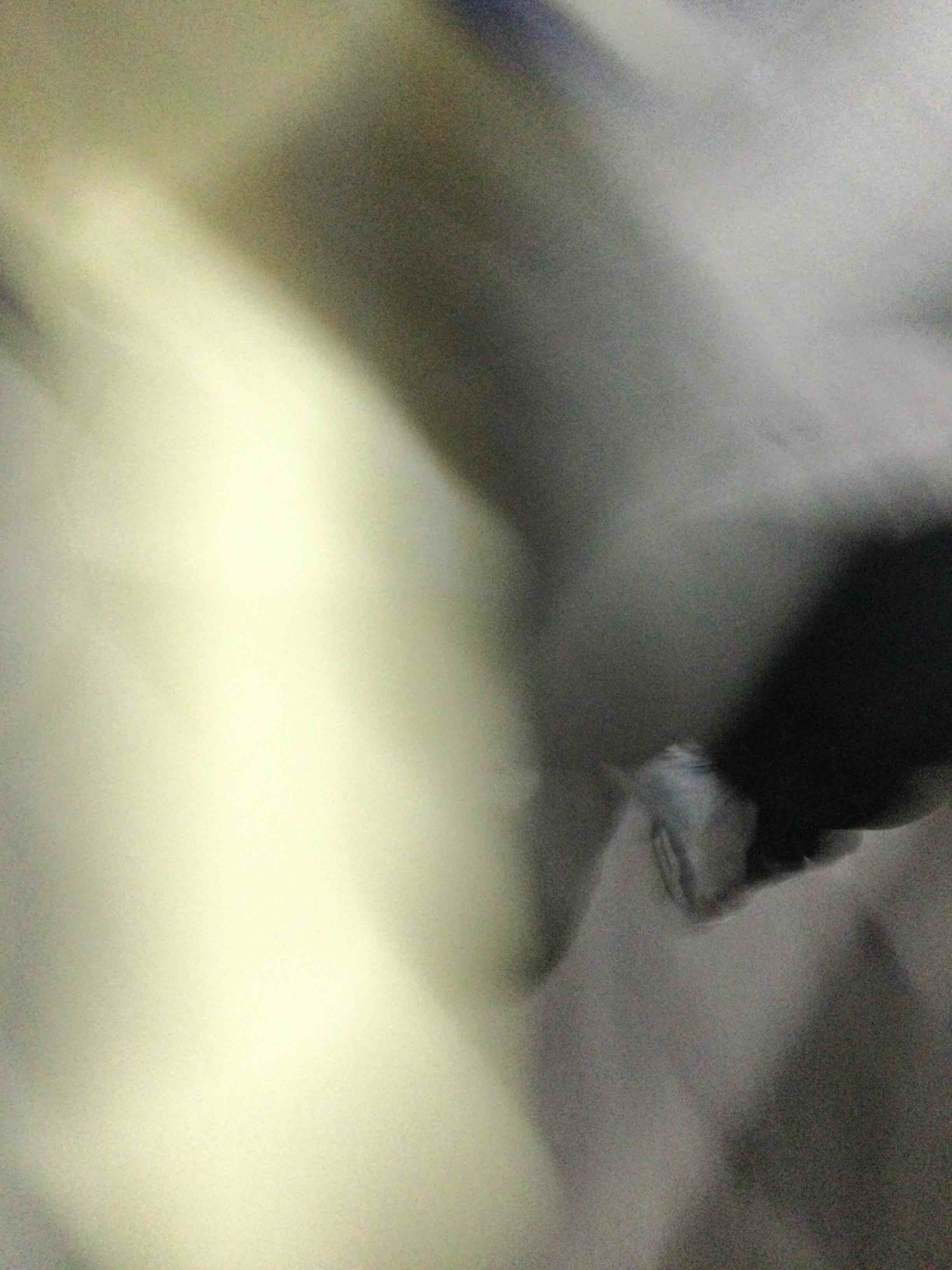 https://s3.amazonaws.com/lotting-images-prod/bidfta/GRA2265607_1741374858579.jpeg