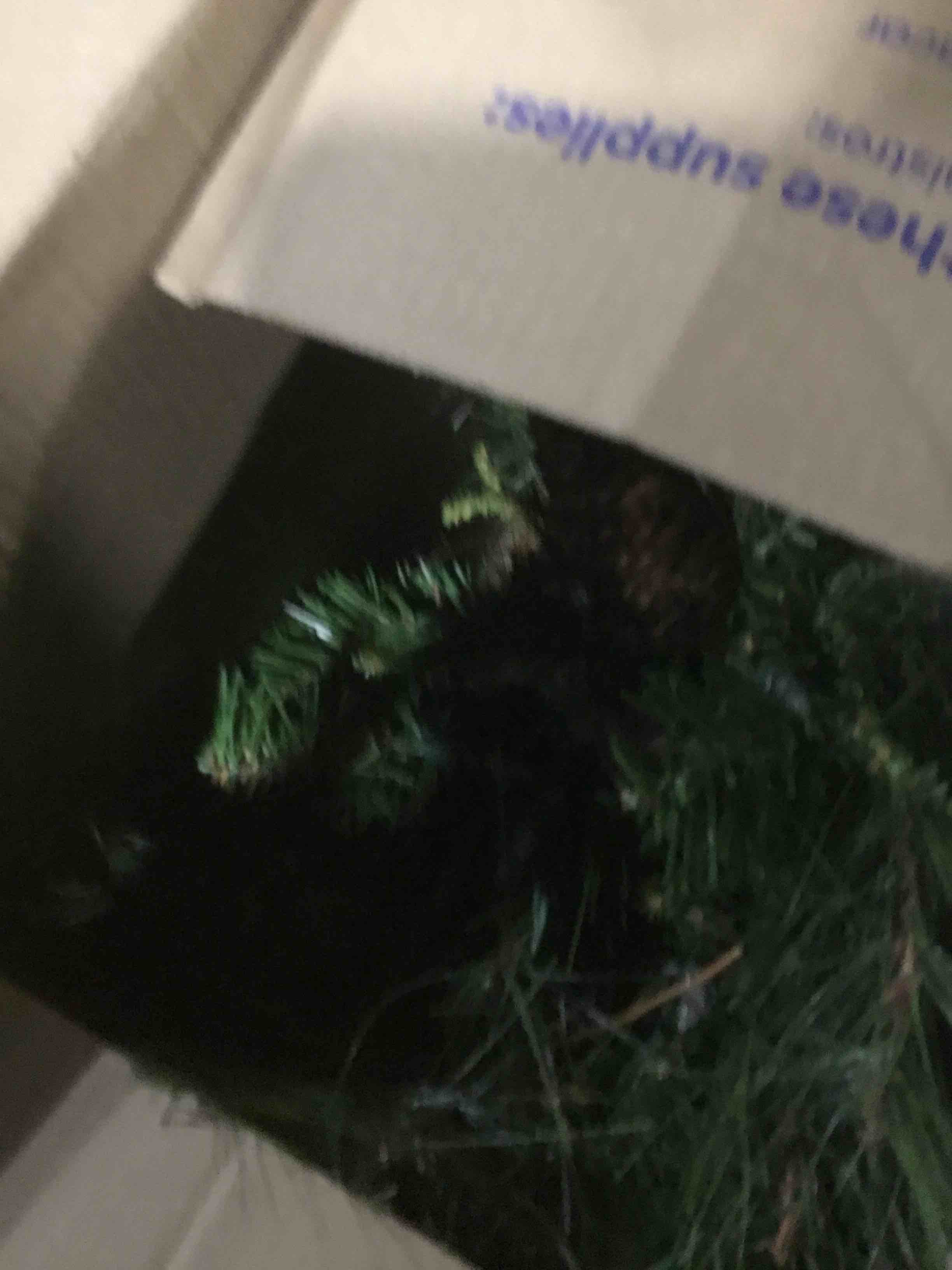 FANTASK Artificial Christmas Tree with Metal Stand, Holiday Christmas Pine Tree for Home, Office, Party Decoration (5 feet)