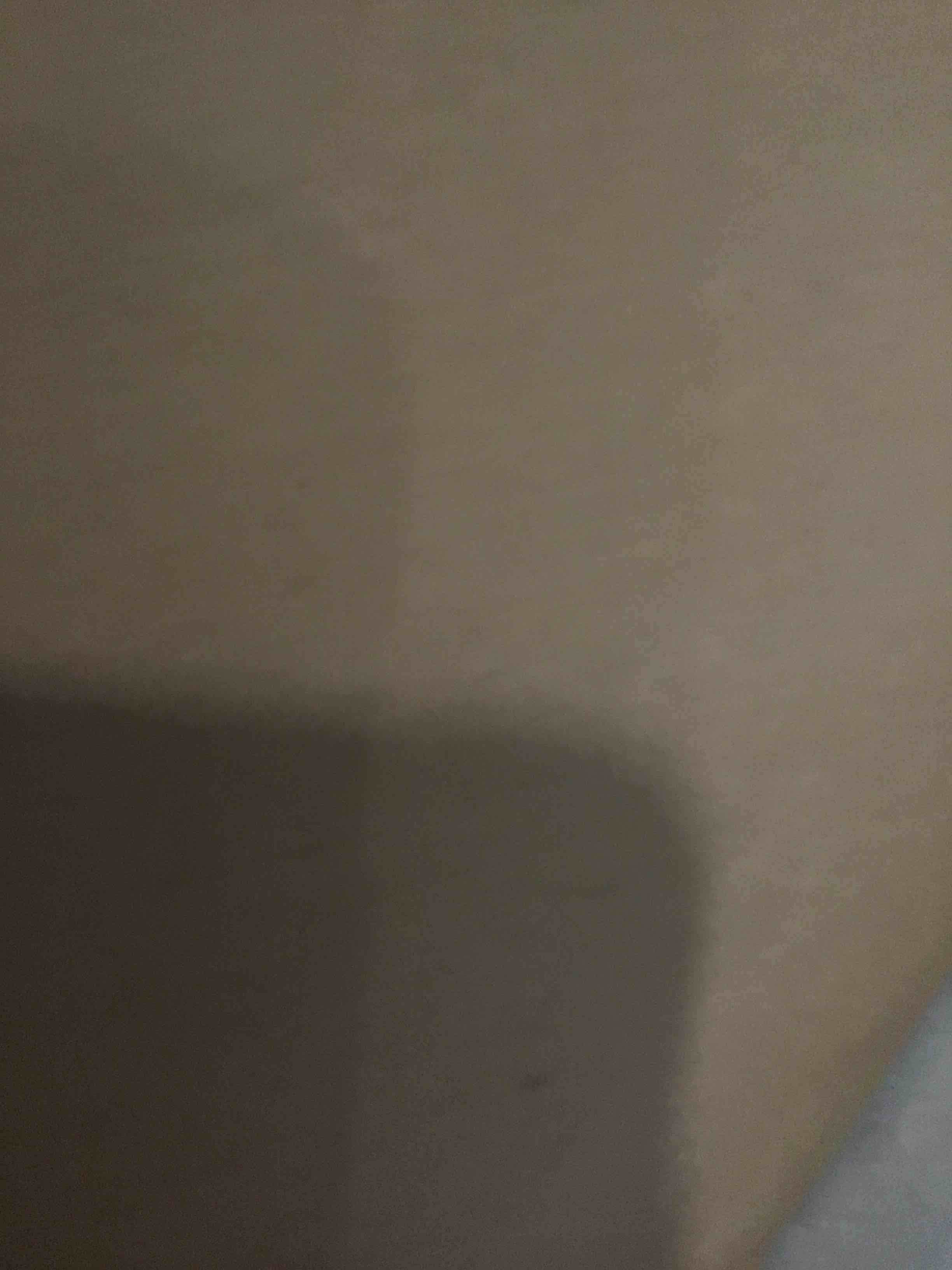 https://s3.amazonaws.com/lotting-images-prod/bidfta/GRA2269316_1738956418904.jpeg