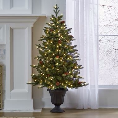 The Potted 5' Prelit Pinecone Spruce
