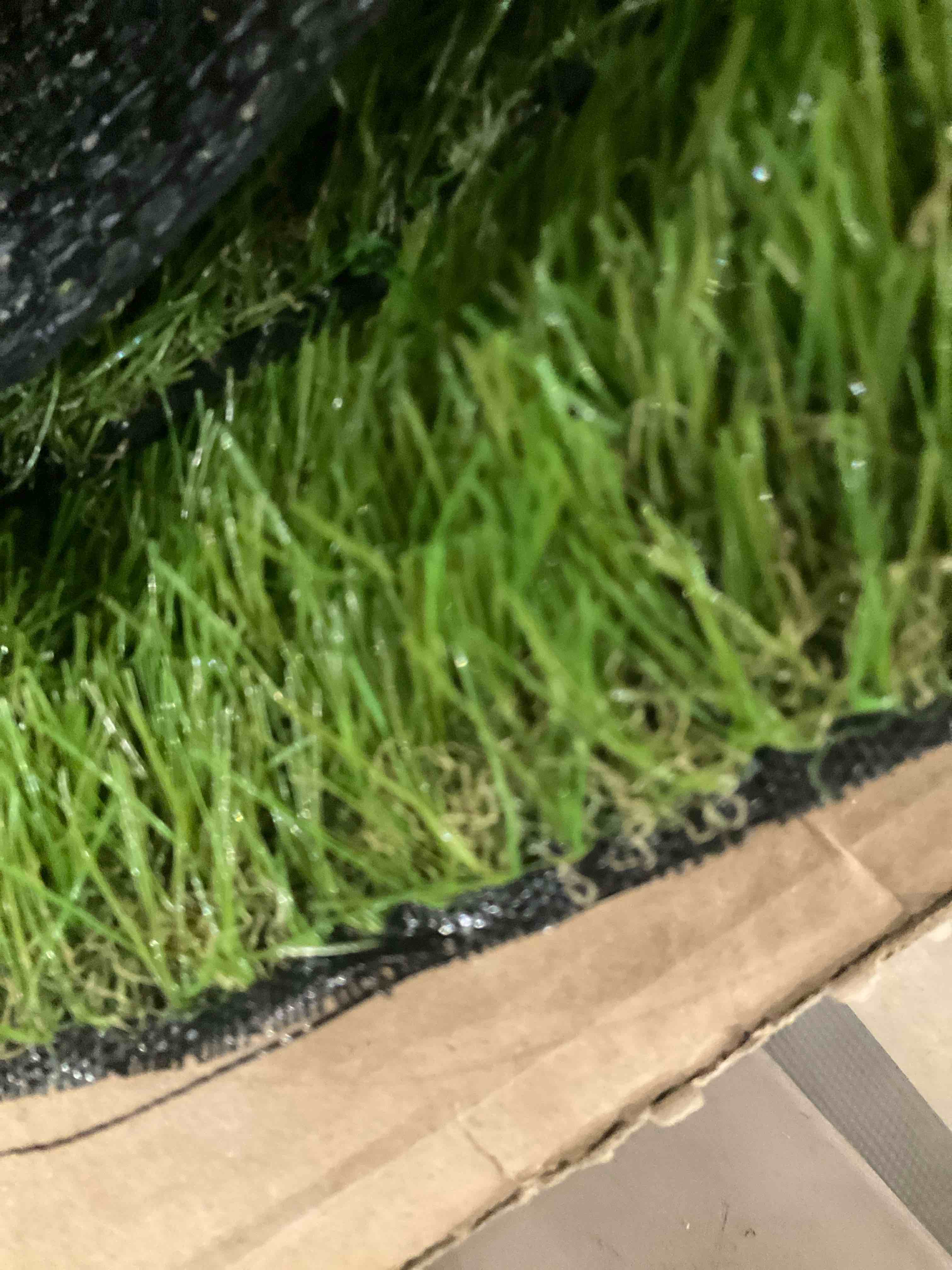 https://s3.amazonaws.com/lotting-images-prod/bidfta/GRA2309506_1747920961626.jpeg