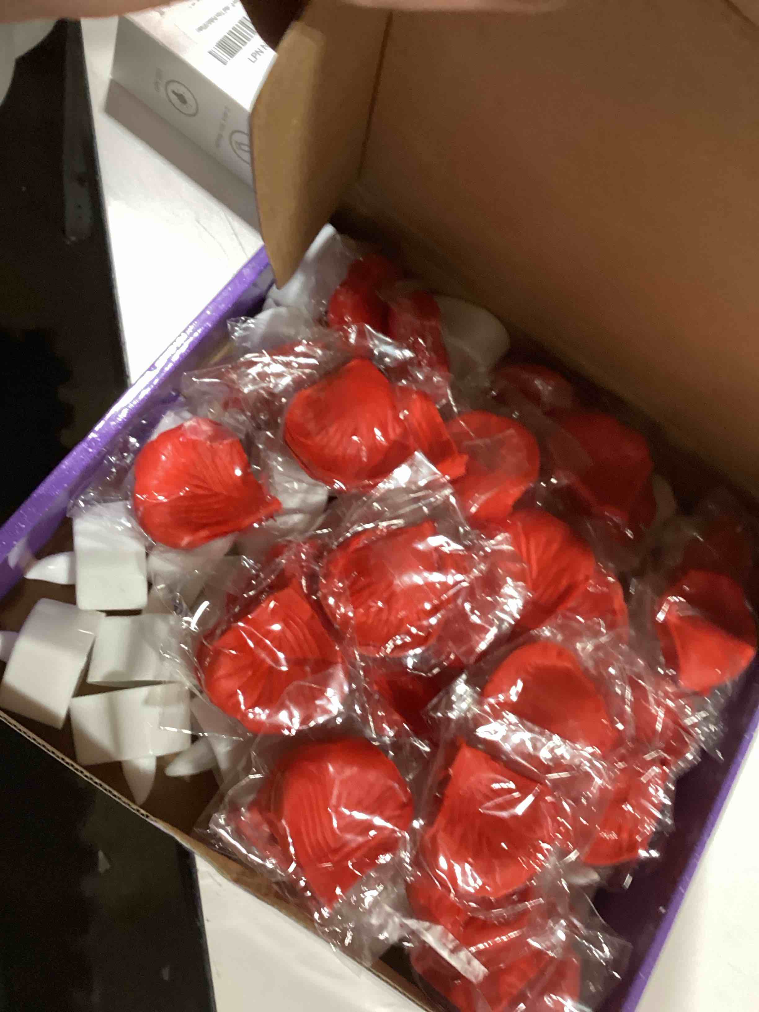 https://s3.amazonaws.com/lotting-images-prod/bidfta/GRA2380117_1761307866409.jpeg