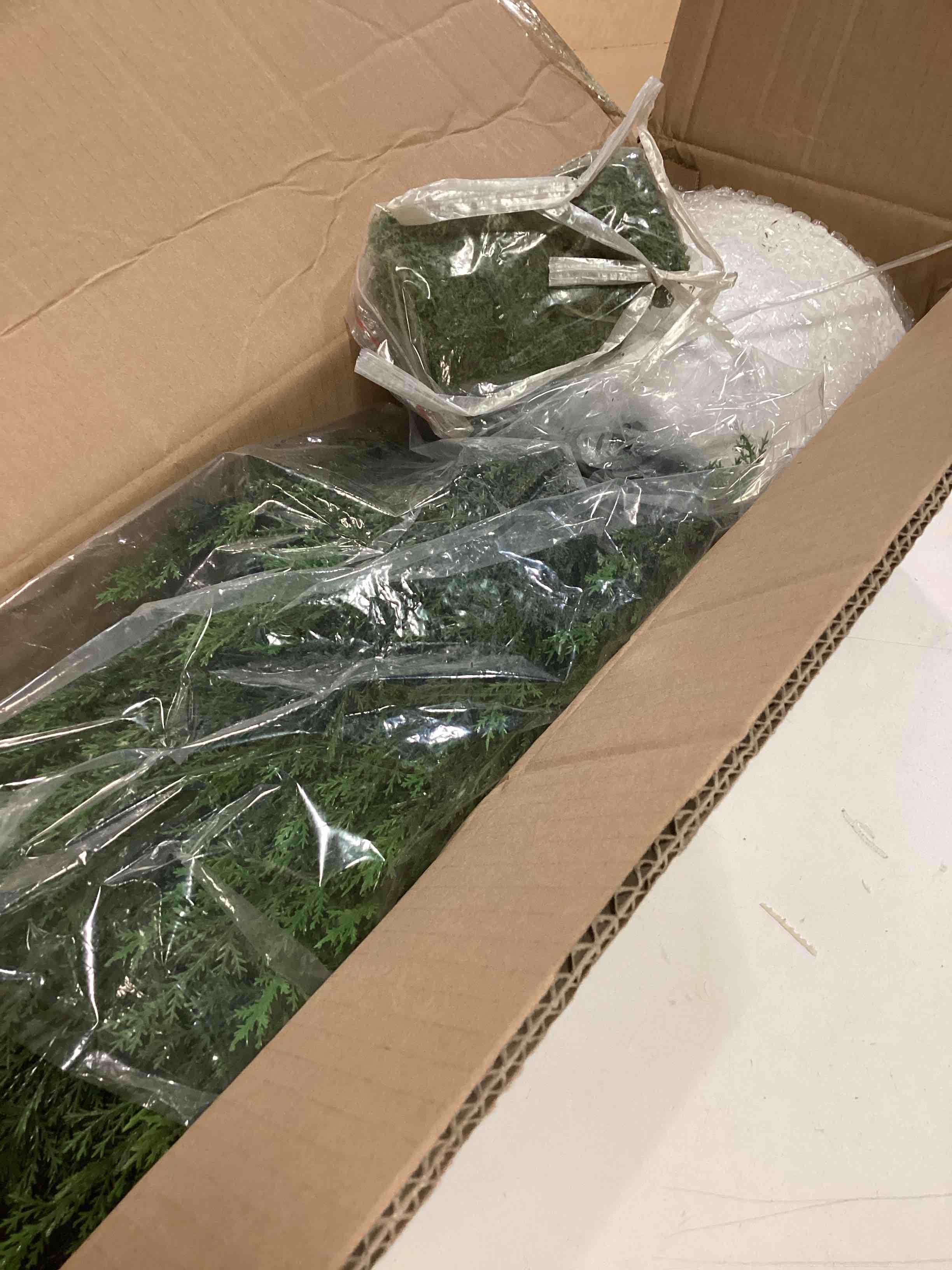 Condition photo showing Good Condition for Briful 27” Artificial Cedar Topiary Tree in White Planter – Realistic Faux Evergreen Floor Plant with Layered Leaves, Decorative Indoor Outdoor Potted Shrub for Home, Office, Patio, Porch