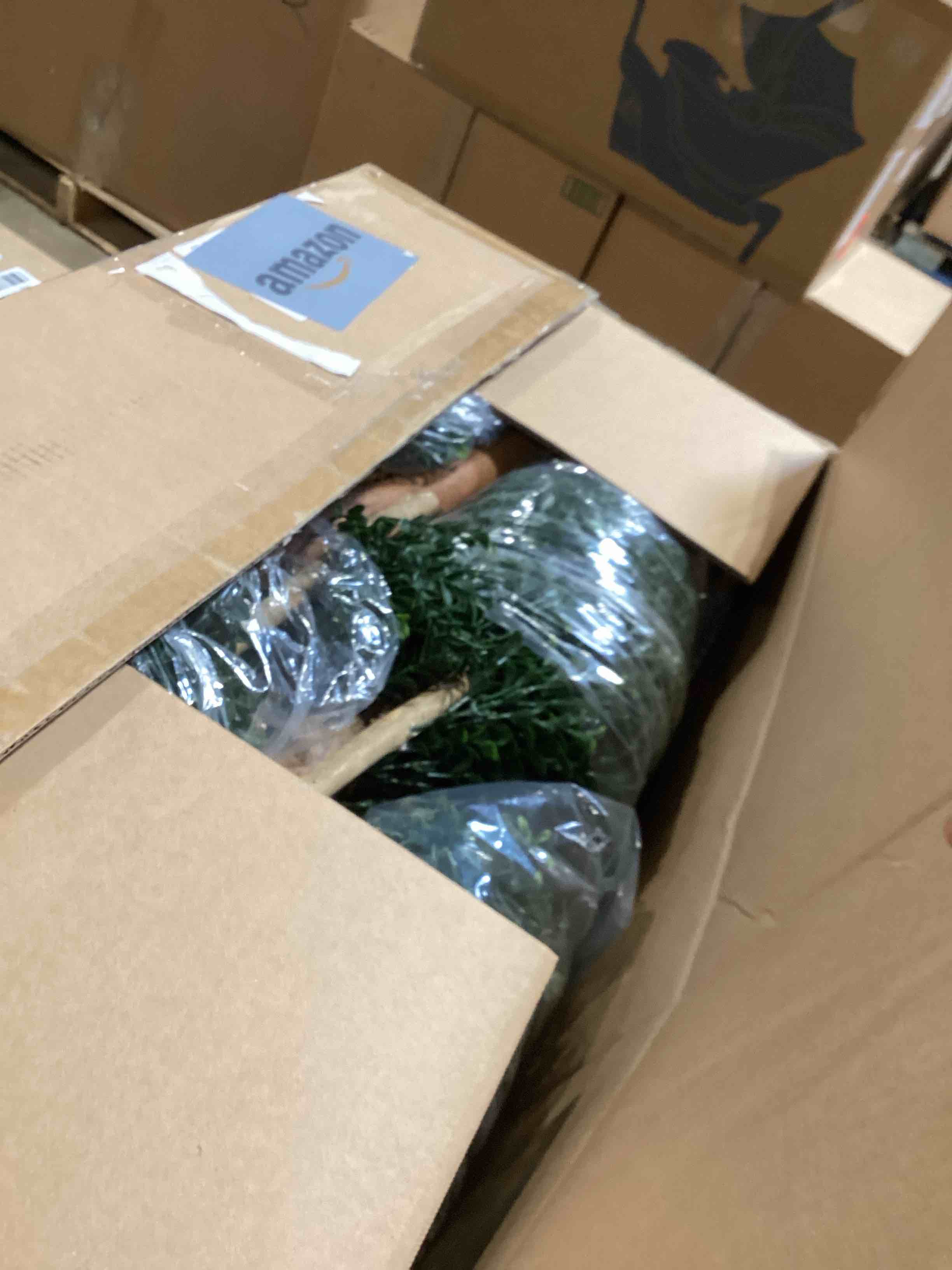 https://s3.amazonaws.com/lotting-images-prod/bidfta/GRA2585142_1749049006671.jpeg