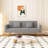 Sofa Multifunctional Loveseat Sofa Bed, Comfy Couch, Modern Sofa