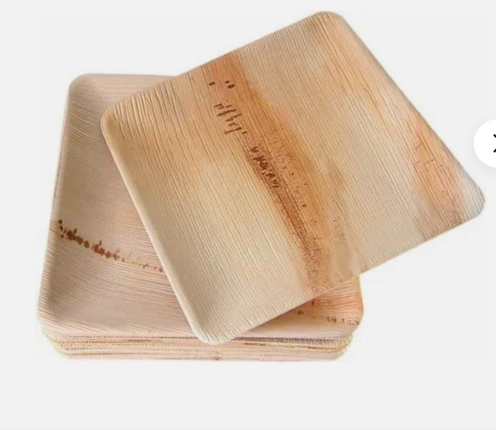 100% natural arecanut leaf plate disposable eco-friendly best quality sri lanka