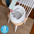 Ingenuity: ity by Ingenuity Simplicity Seat Easy-Clean Baby Booster Feeding Chair, 3-Point Harness, Washable Removable Straps - Grey