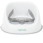 Ingenuity Simplicity Toddler Booster Seat - Gray