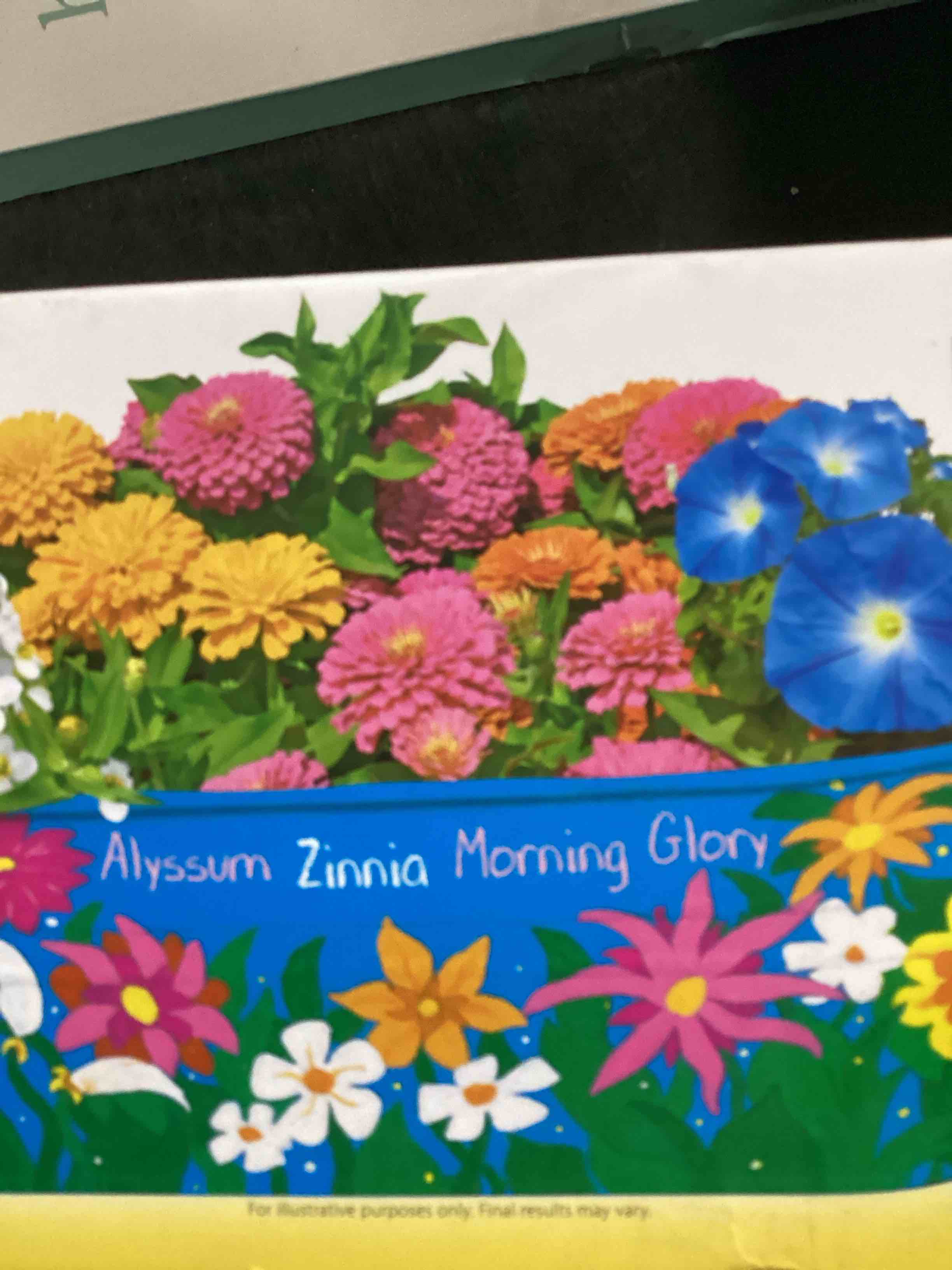 Little Planters Fairy Flowers Paint,Plant & Grow