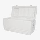 Igloo 150 Quart MaxCold Cooler