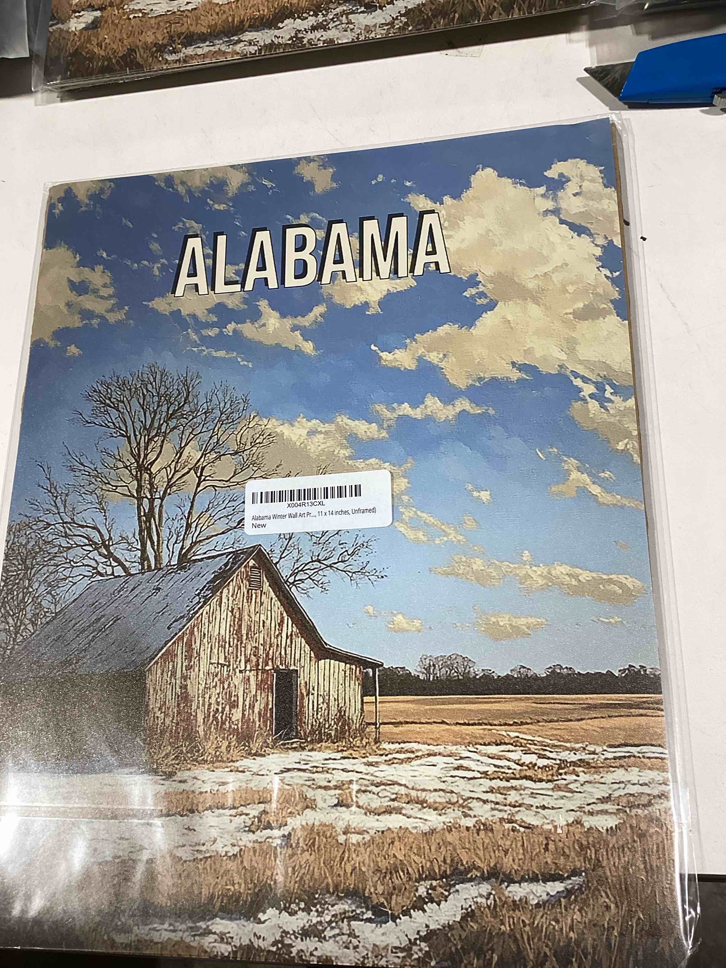 Condition photo showing As Is for Alabama Winter Wall Art Print Poster, State Painting Photo Artwork Wall Decor Nature Landscape Bedroom Bathroom Living Room 160A (Alabama Winter, 11 x 14 inches, Unframed) Unframed 14"L x 11"W Alabama Winter