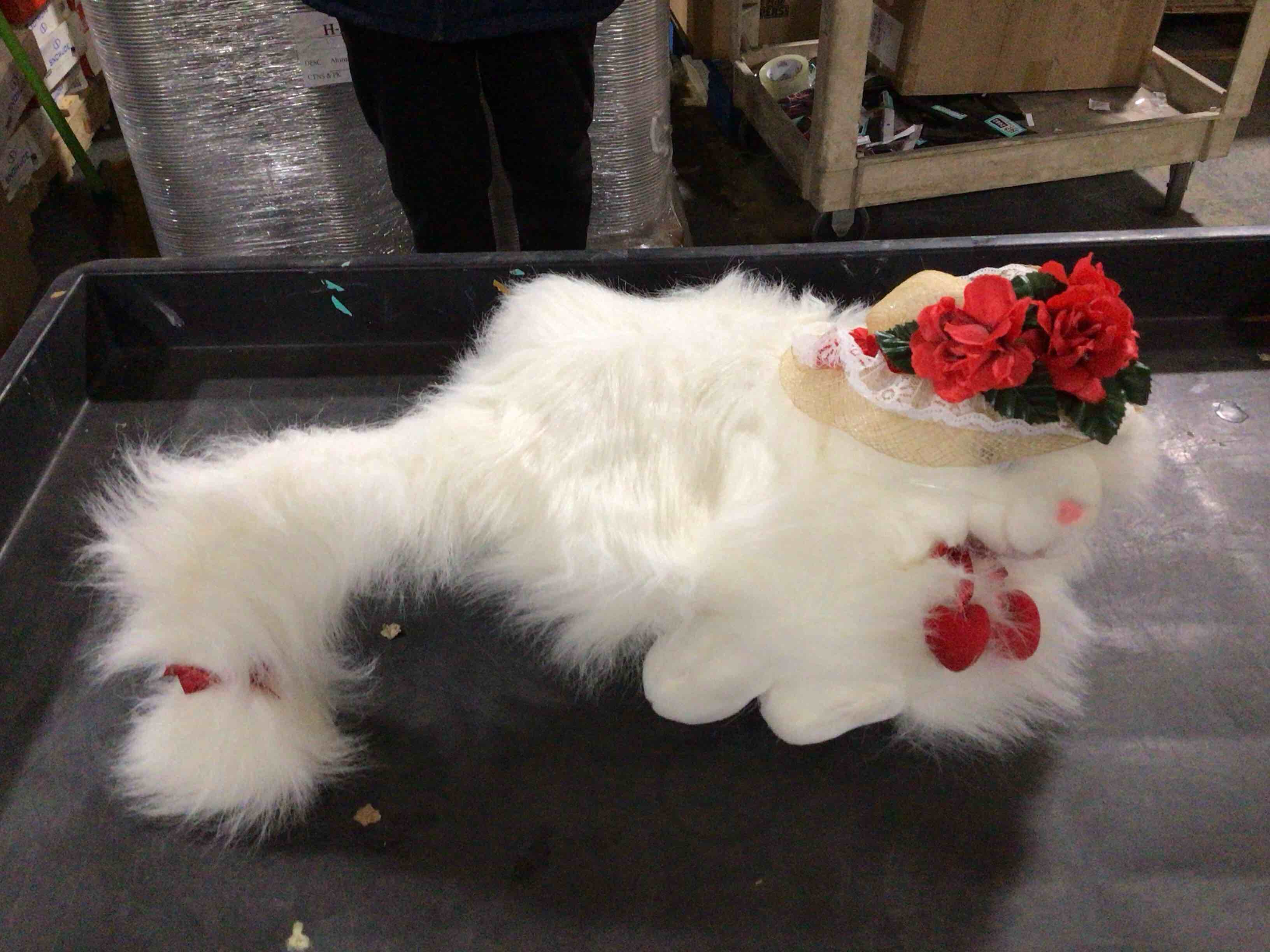 Assorted stuffed cats