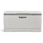 Igloo 150 Quart MaxCold Cooler
