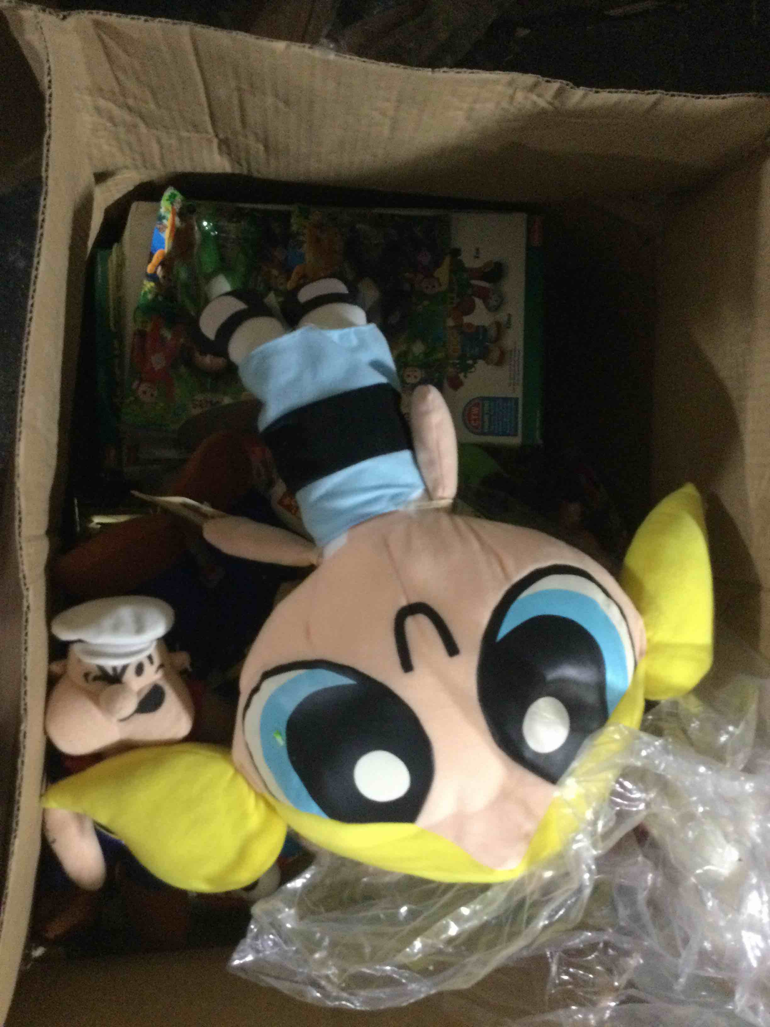 box of assorted toys ect…