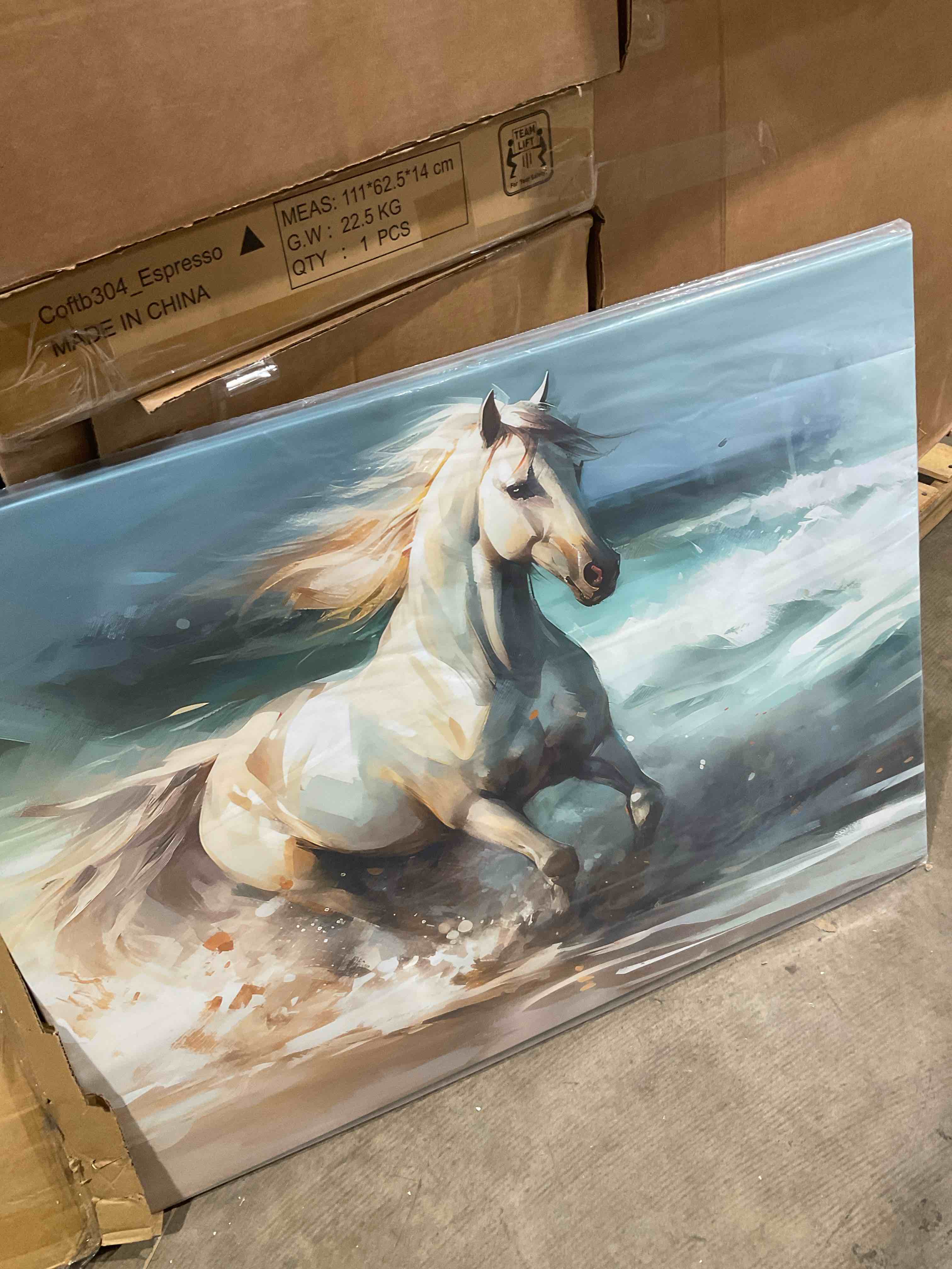 Condition photo showing New/Like New for horse on the beach ii - horse wall art for living room