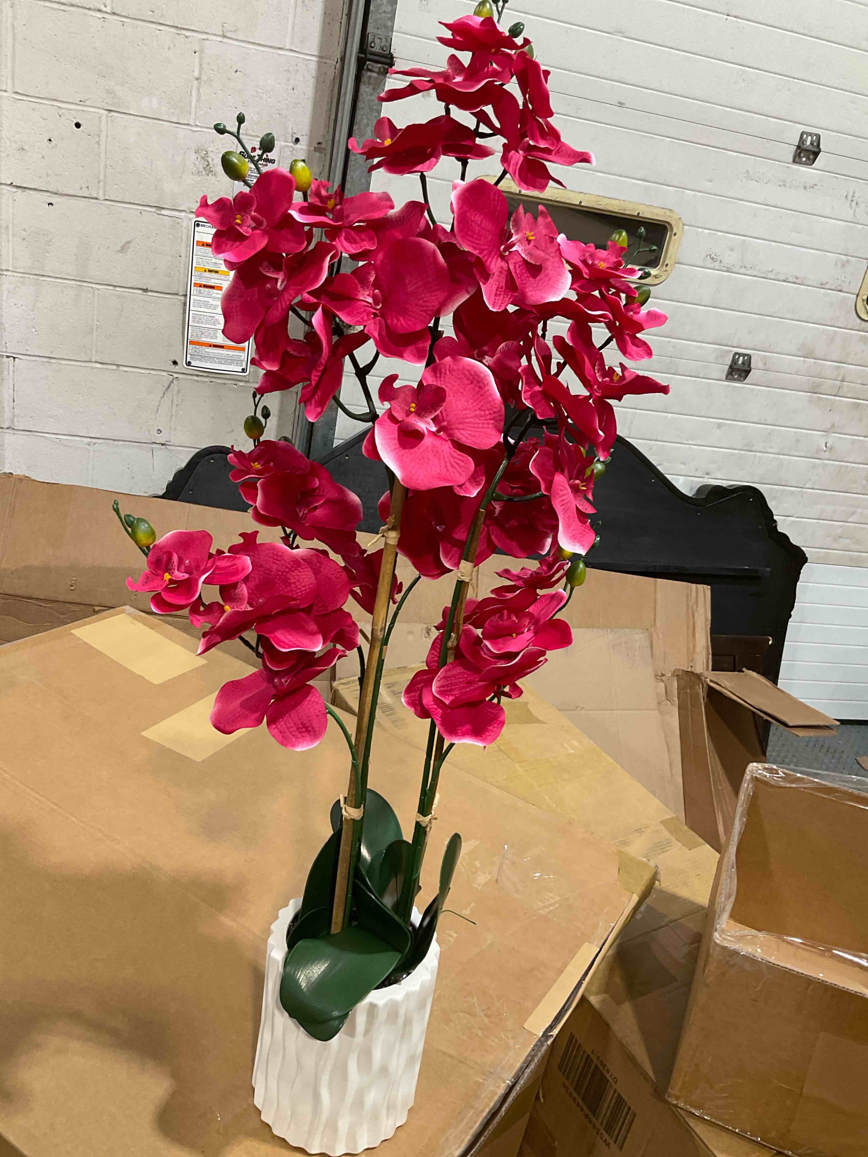 Condition photo showing Good Condition for 1.2m pink orchid in ceramic pot simi 