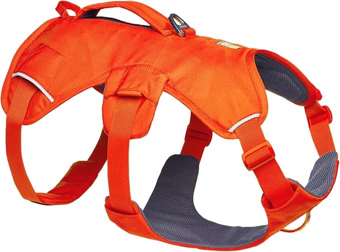 ruffwear web master dog harness l/xl 