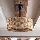 Beauchamp 18.9'' Ceiling Fan with Light Kit and Remote Control