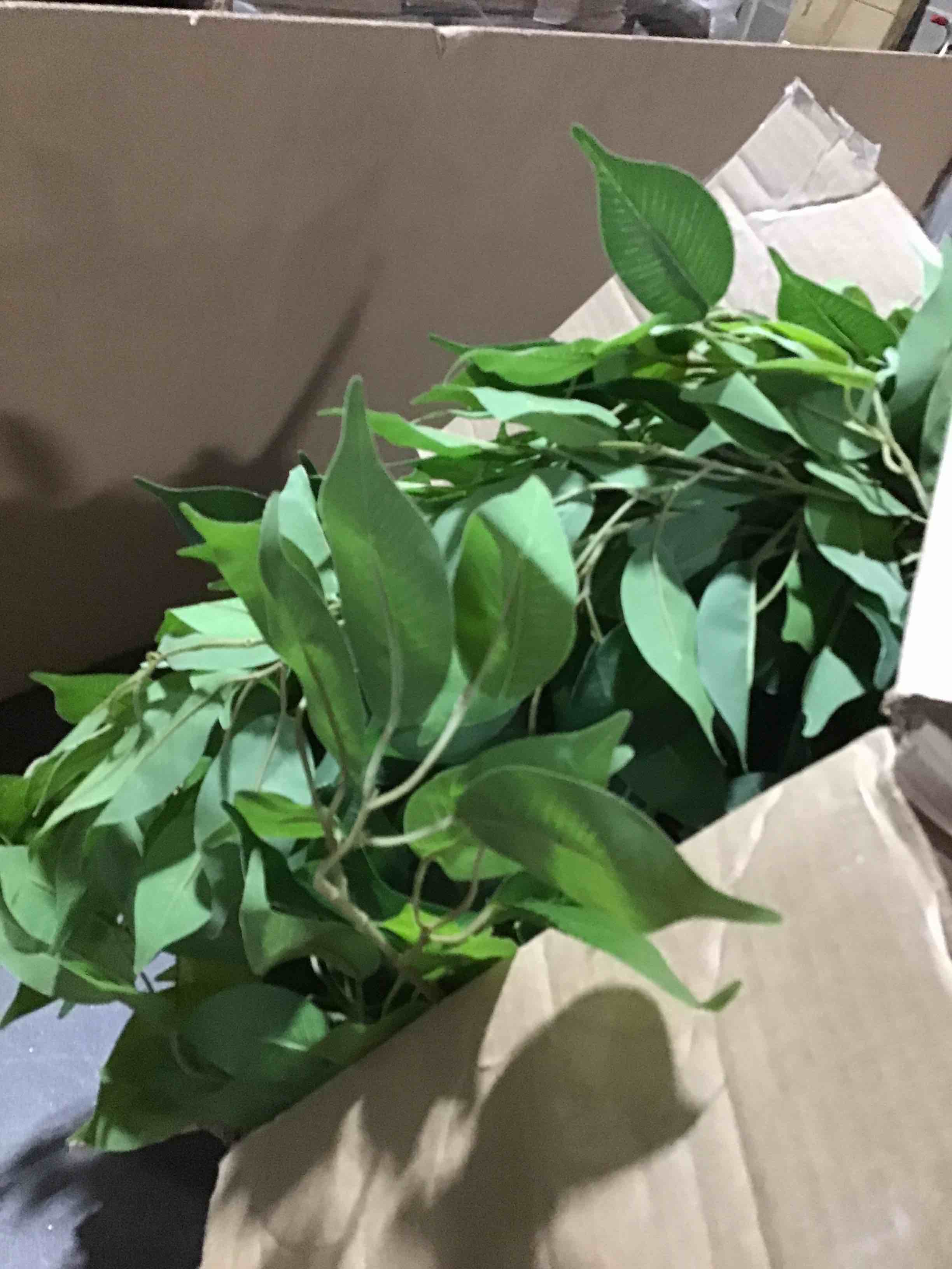 https://s3.amazonaws.com/lotting-images-prod/bidfta/GRA3560195_1750962740966.jpeg