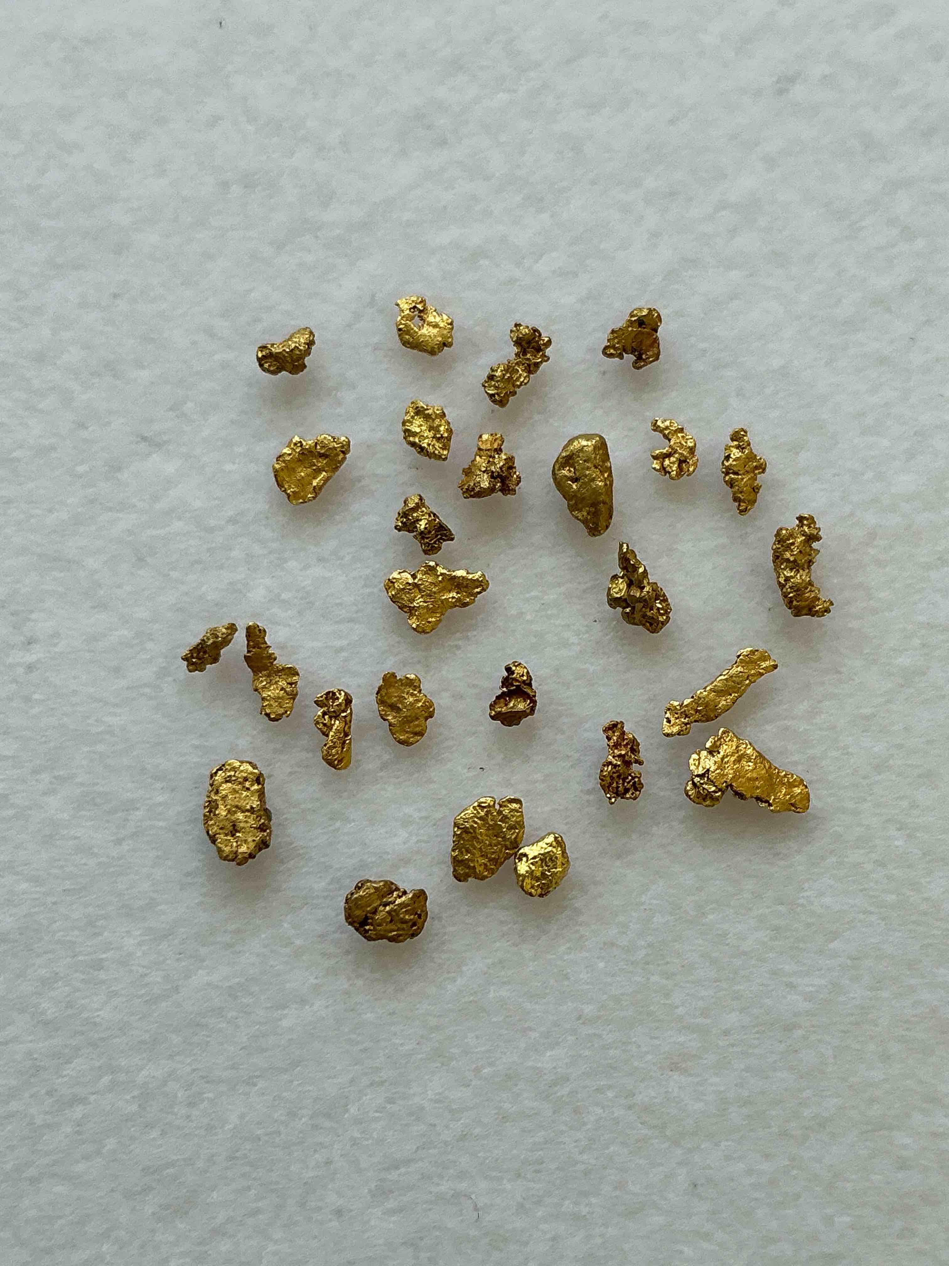 Collector’s Dream! Pokémon, Sports Cards, Gold & More!