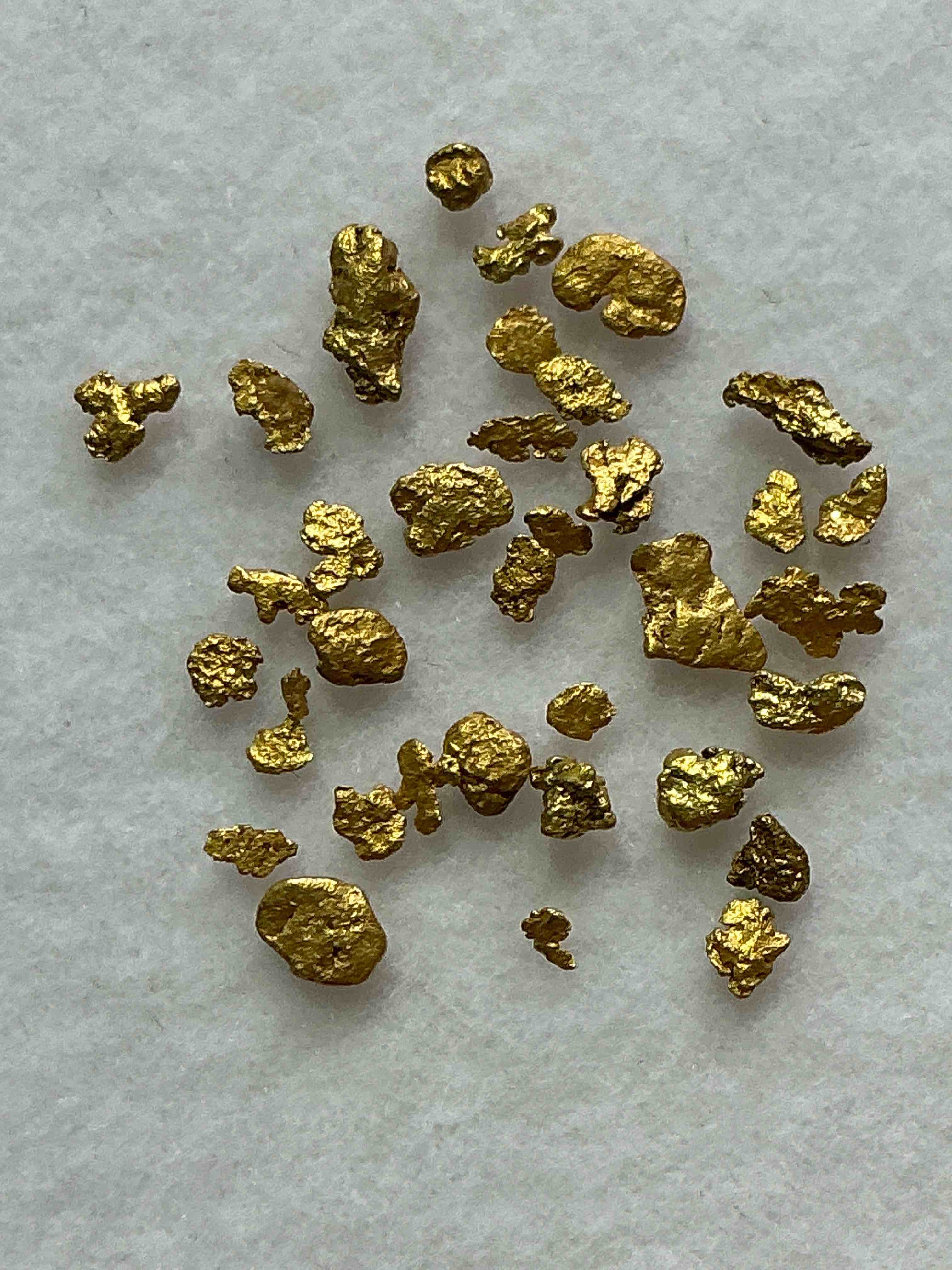 Collector’s Dream! Pokemon, Sports Cards, Gold & More!