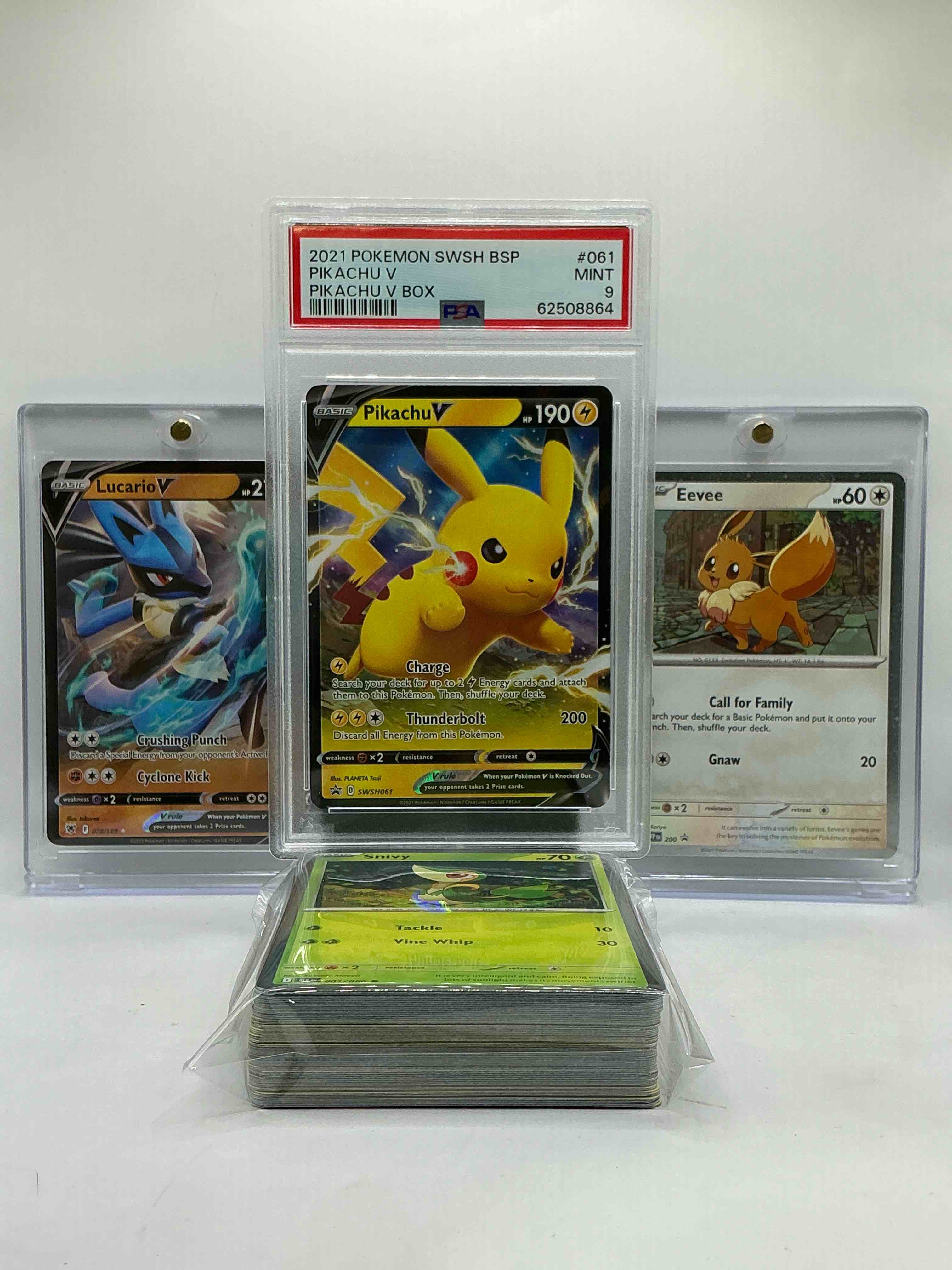 Collector’s Dream! Pokemon, Sports Cards, Gold & More!
