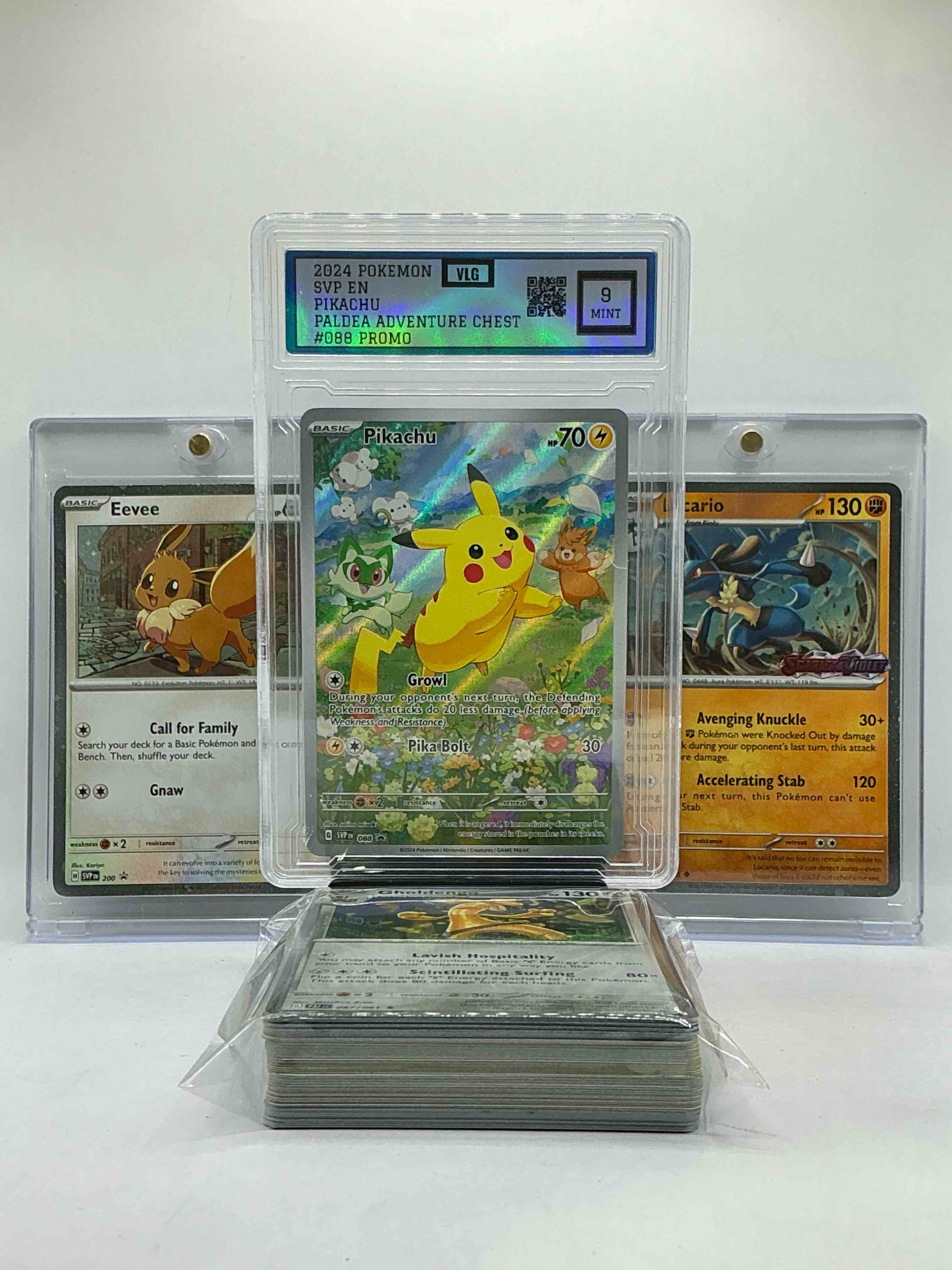 Collector’s Dream! Pokémon, Sports Cards, Coins & More!