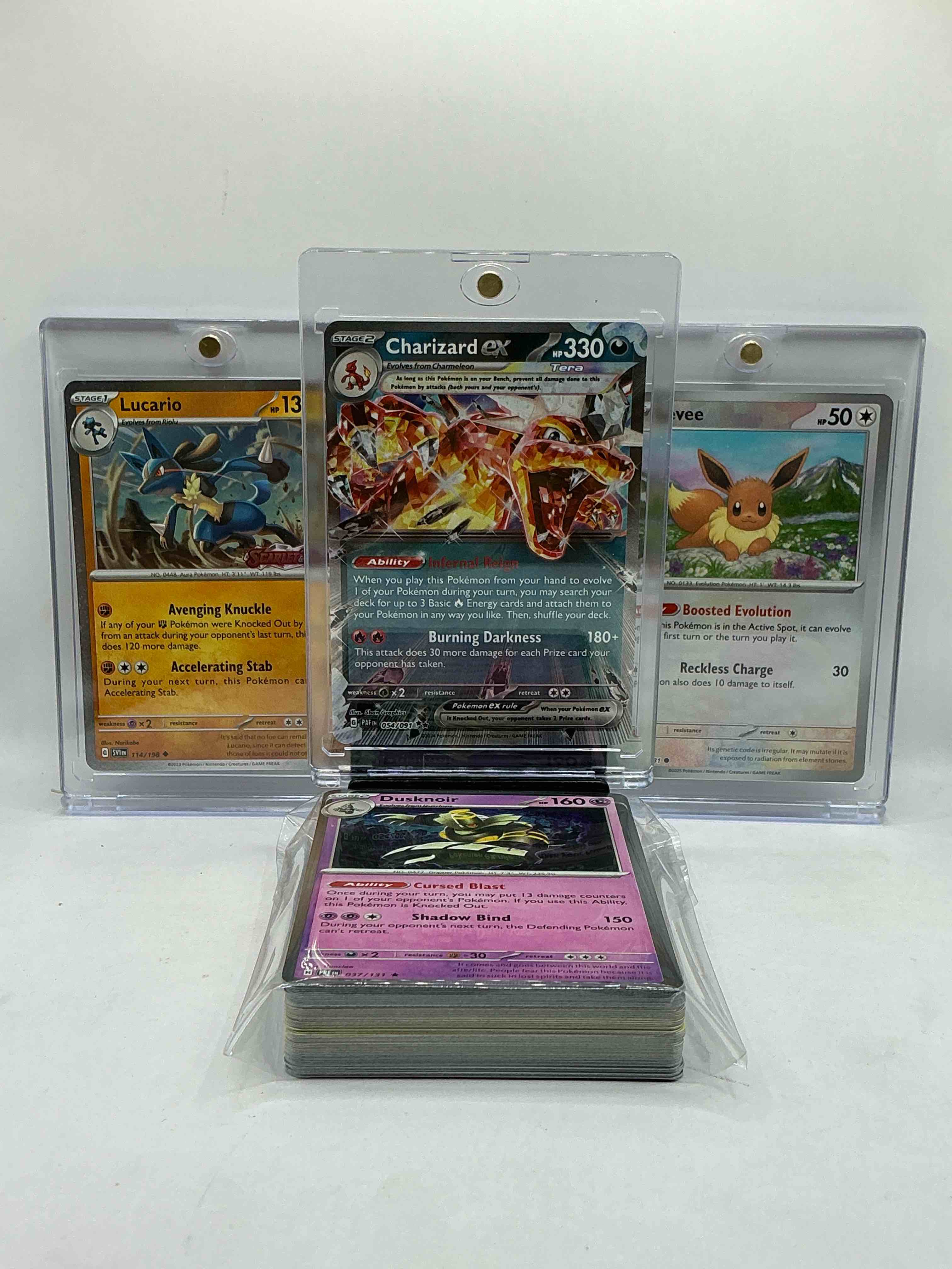 Pokémon Palooza! Charizard EX Holo, Lucario Holo, Eevee Rainbow Holo & More! Holos, Legends, Heroes, Commons & More!