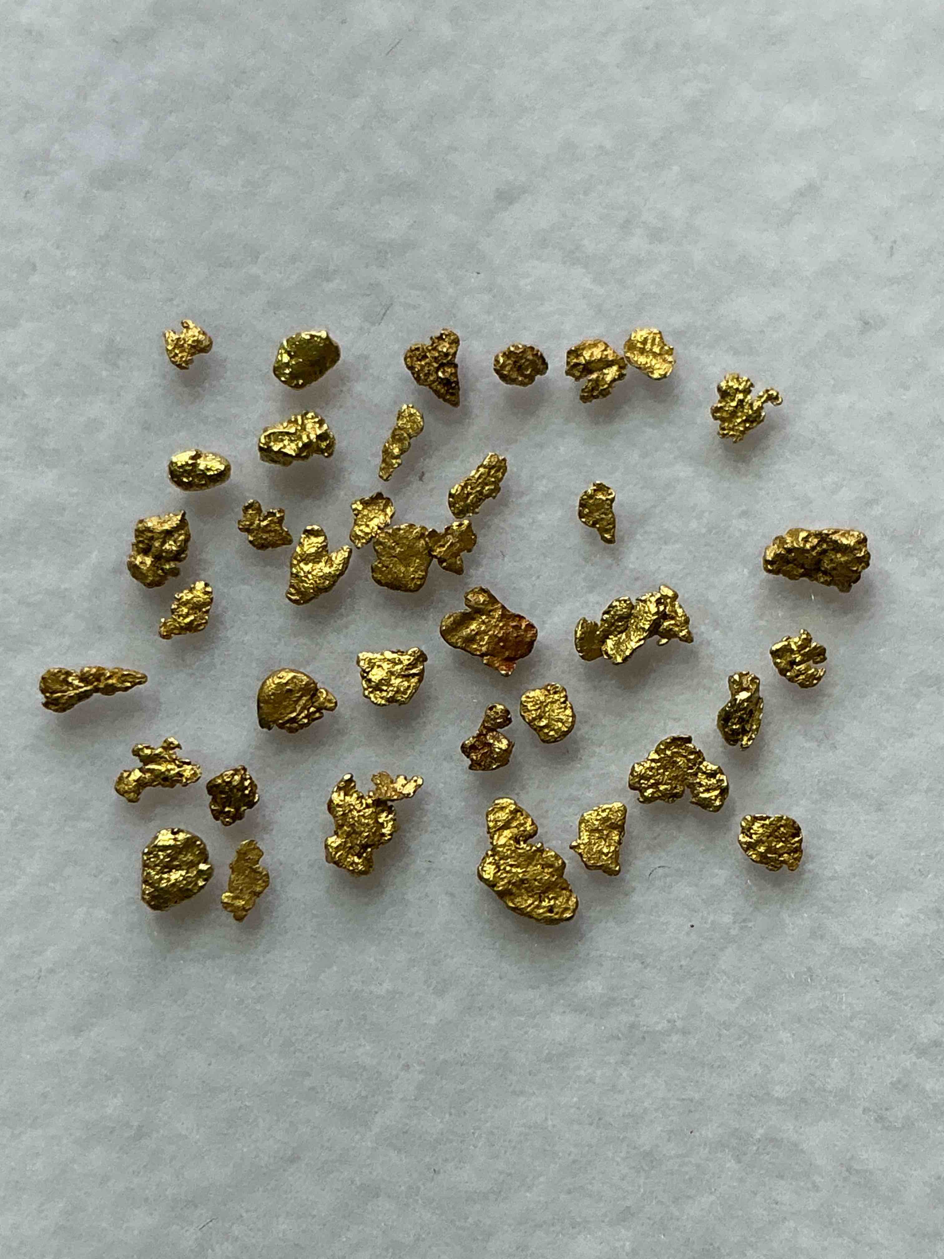 Collector’s Dream! Pokémon, Sports Cards, Coins & More!