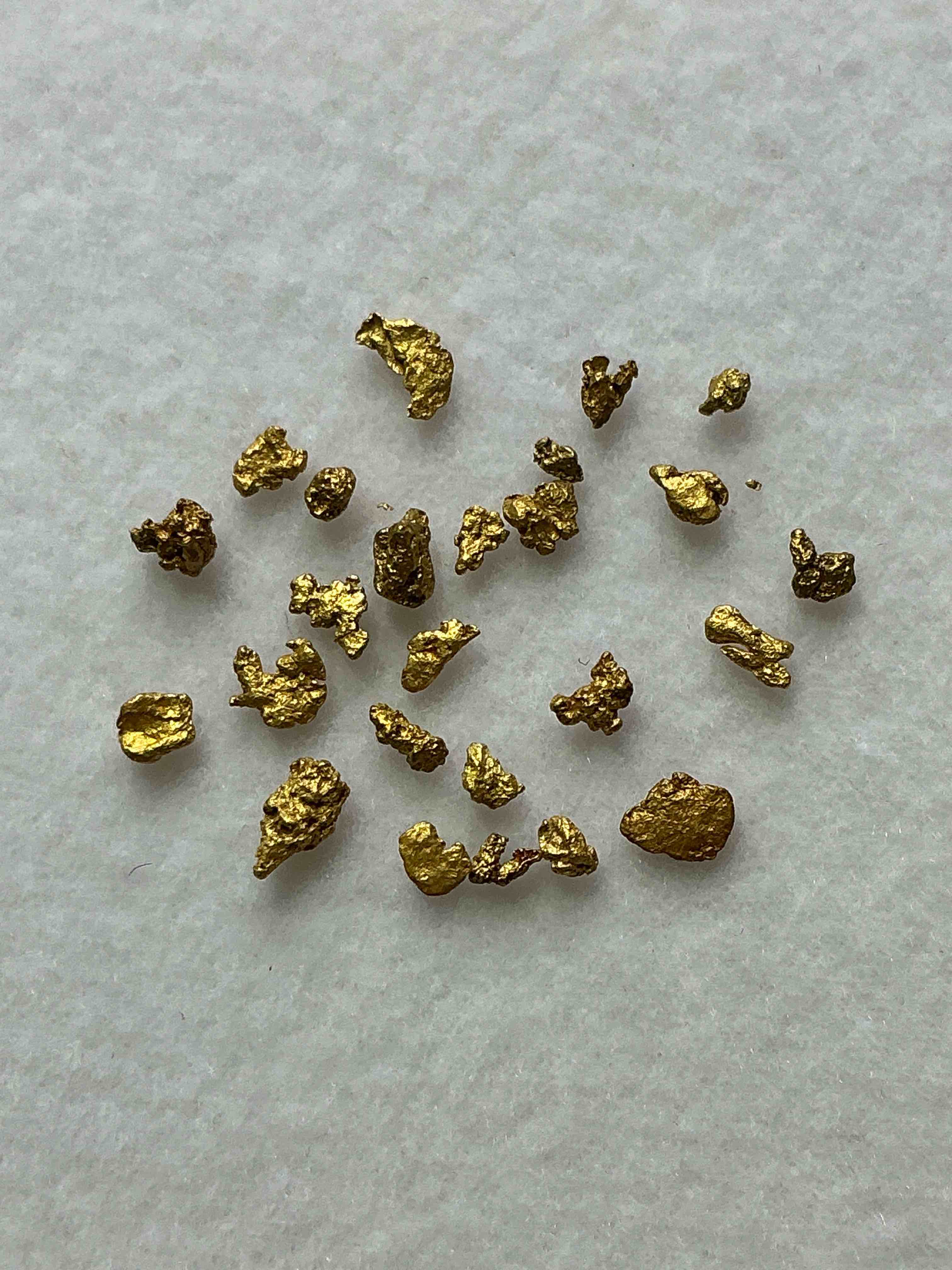 Collector’s Dream! Pokemon, Sports Cards, Gold & More!